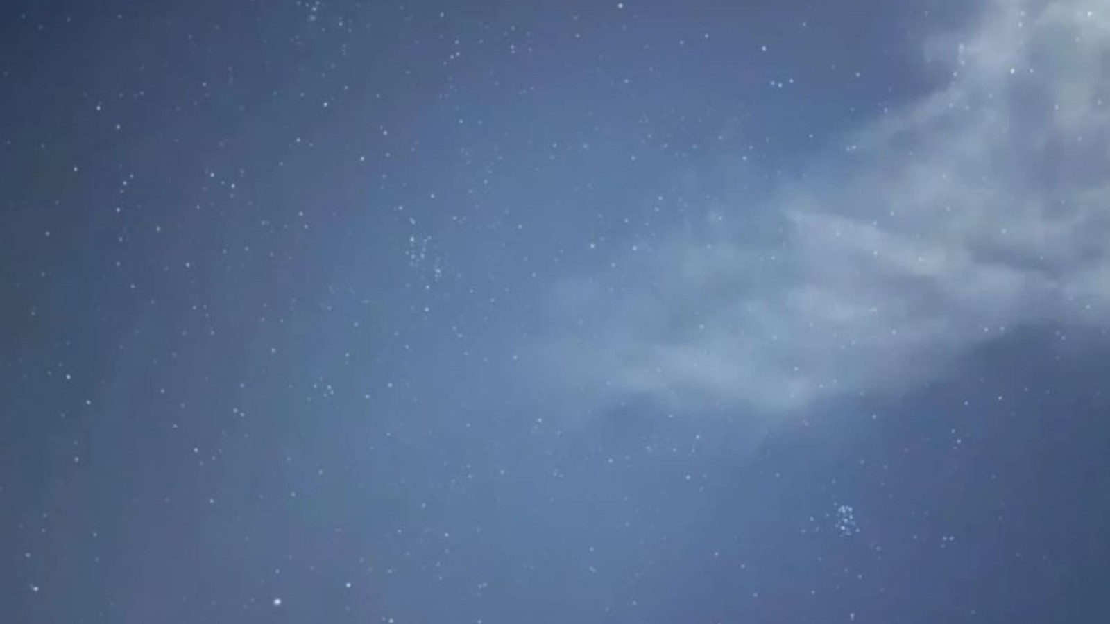 Yıldızlarda saklı pengueni sadece gerçek dahiler görmeyi başarıyor