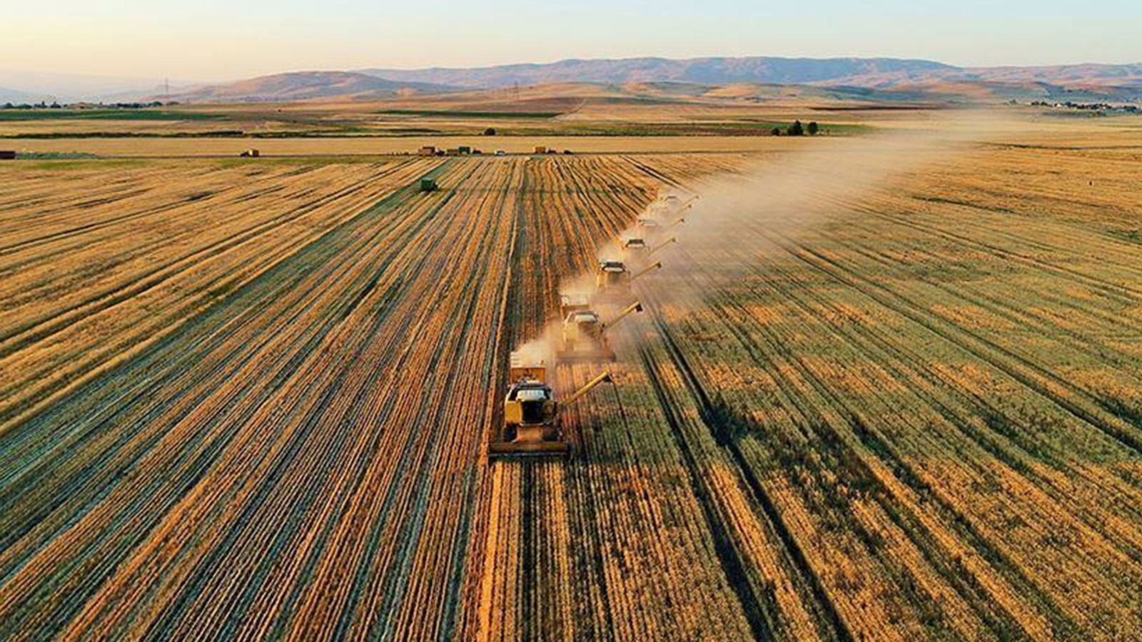 Tarım ÜFE ocak ayında arttı