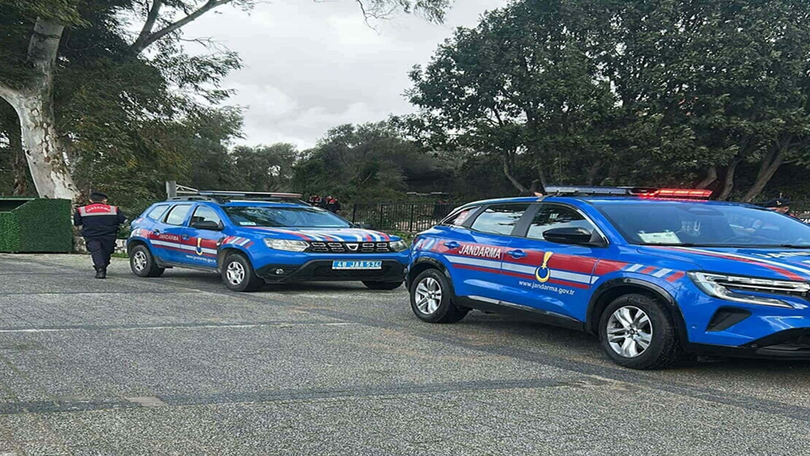 Muğla'da sokak köpeklerini tüfekle öldüren şahıs tutuklandı