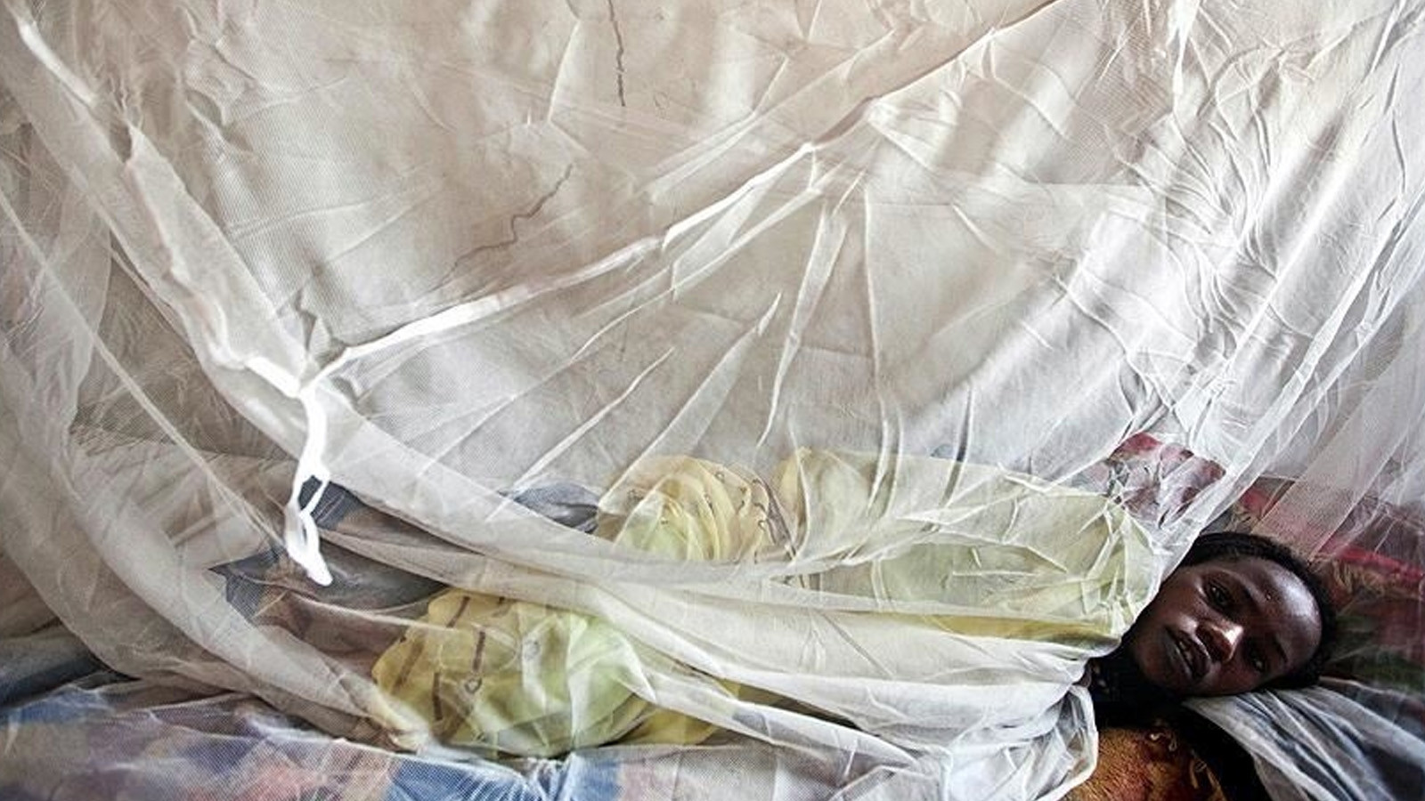 Sinsi hastalık can almaya devam ediyor: 5 haftada 31 kişi öldü