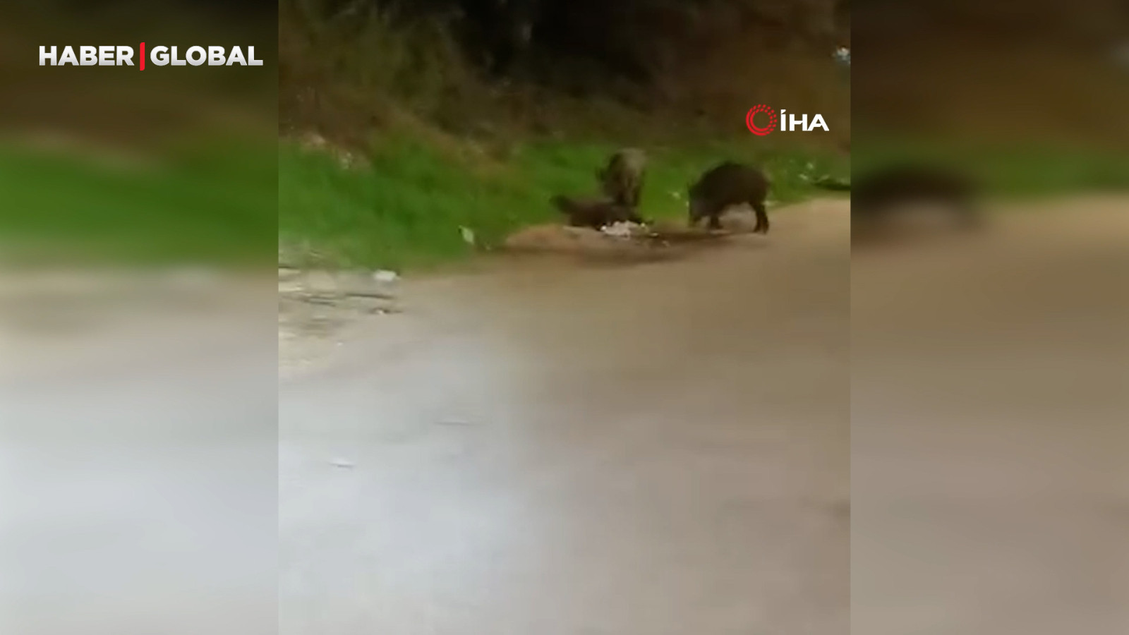 Bursa'da onları bu halde gören kameraya sarıldı!