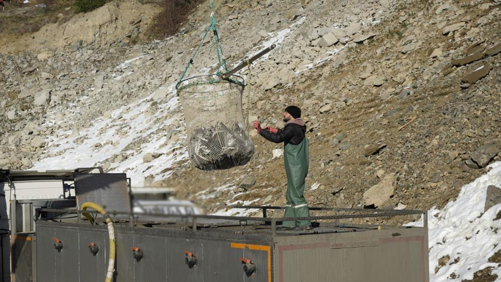 Denizi olmayan şehirde balık üretimi 2 bin tona yaklaştı