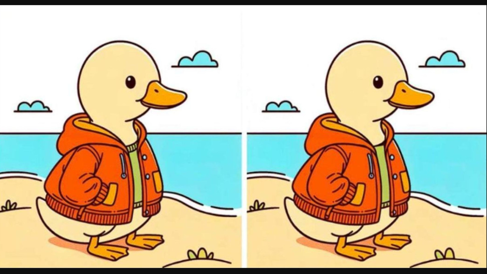 İki ördek arasındaki 3 farkı sadece yüksek IQ'su olanlar buluyor