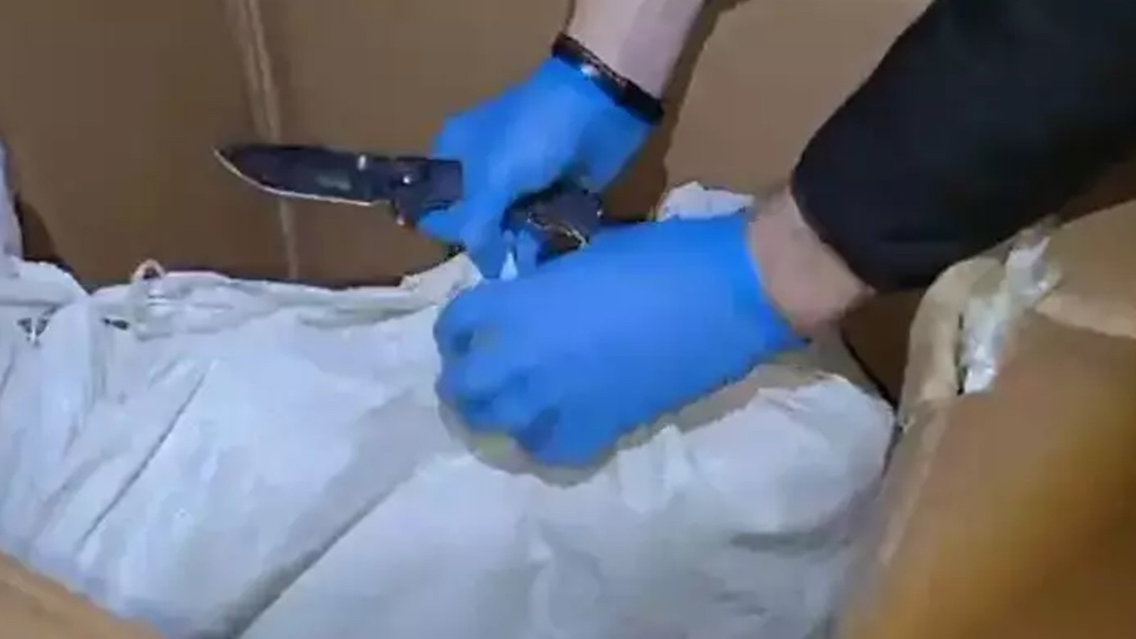 Hatay'da 11 kilo 200 gram skunk ele geçirildi