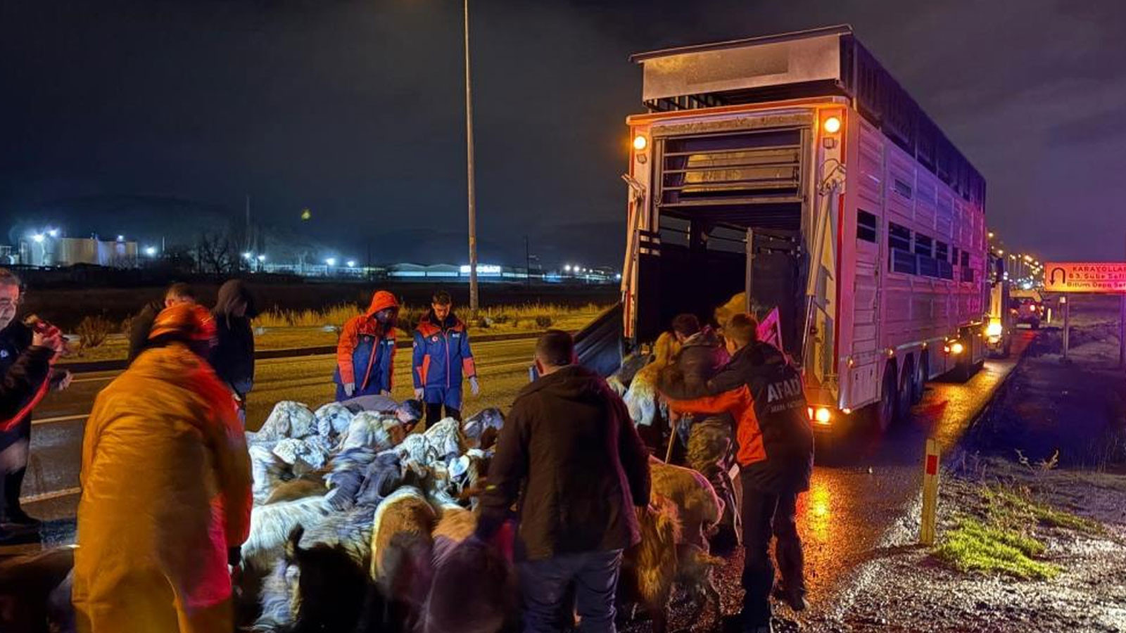Kayseri’de taşkın riski: 200 hayvan tahliye edildi
