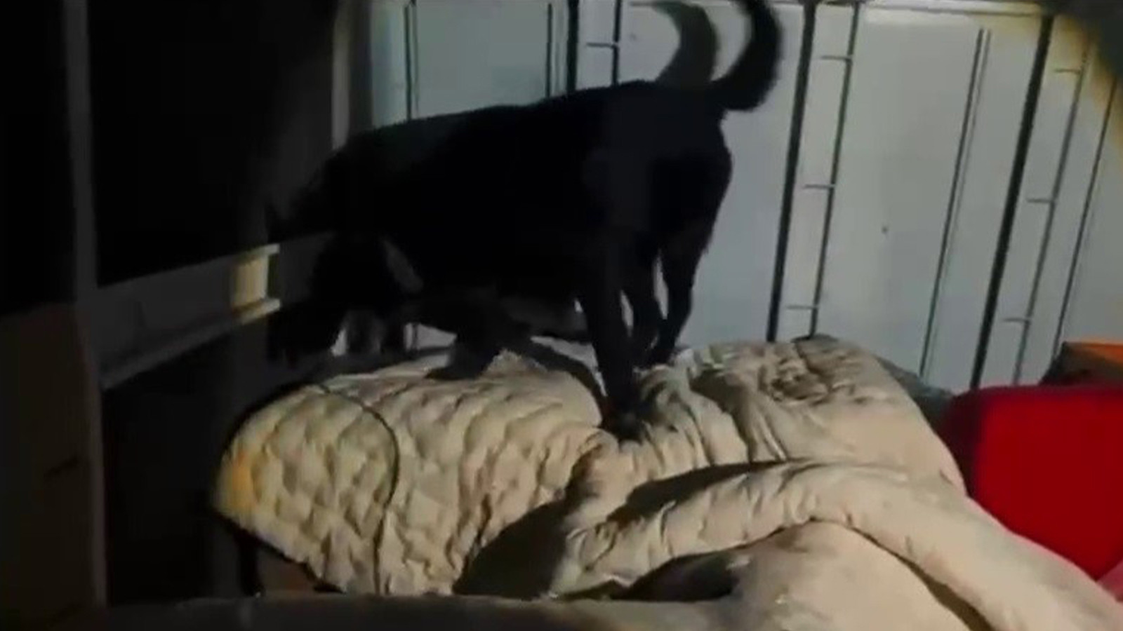 Hatay'da durdurulan kamyonette 11 kilo 200 gram uyuşturucu yakalandı