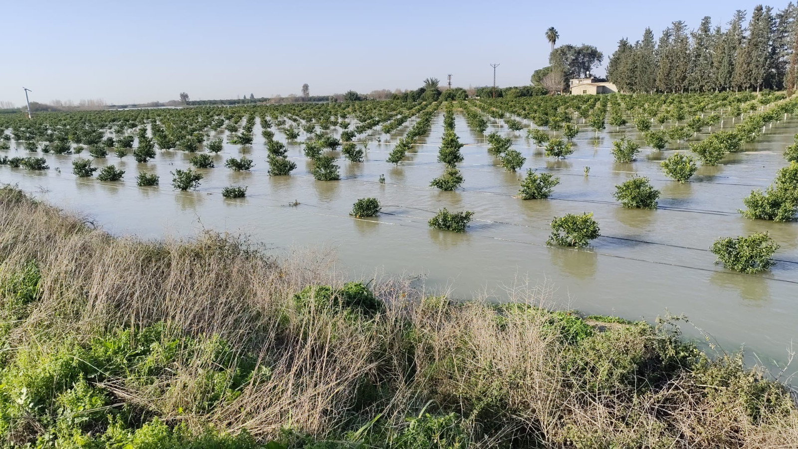 Baraj kapakları açıldı, tarlalar sular altında kaldı
