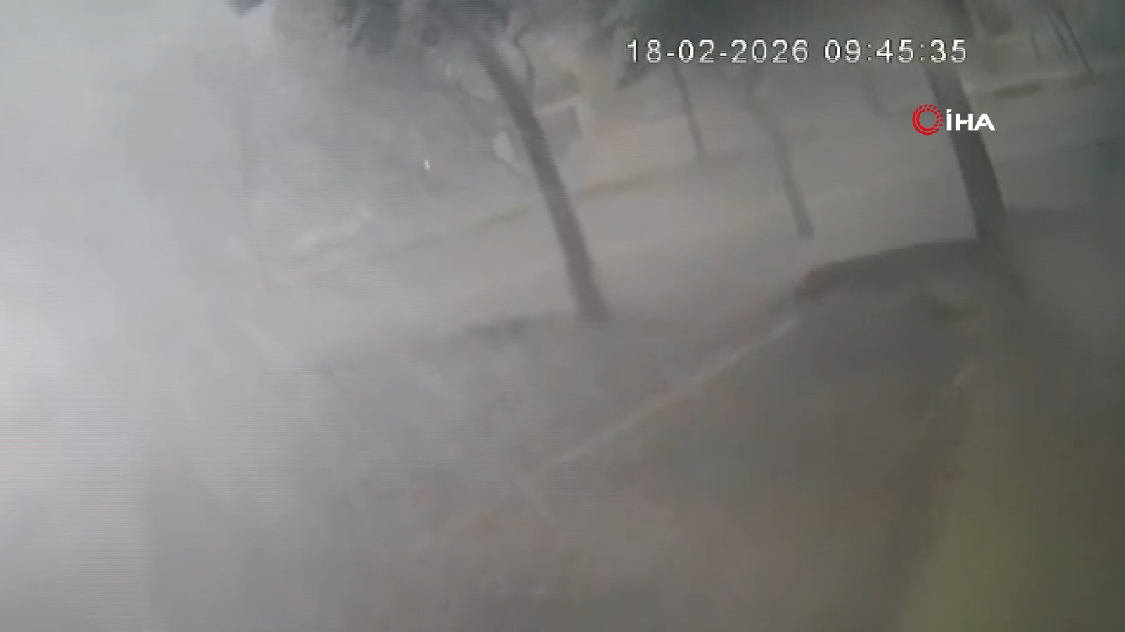 Fırtına dev ağaçları kökünden böyle söktü!