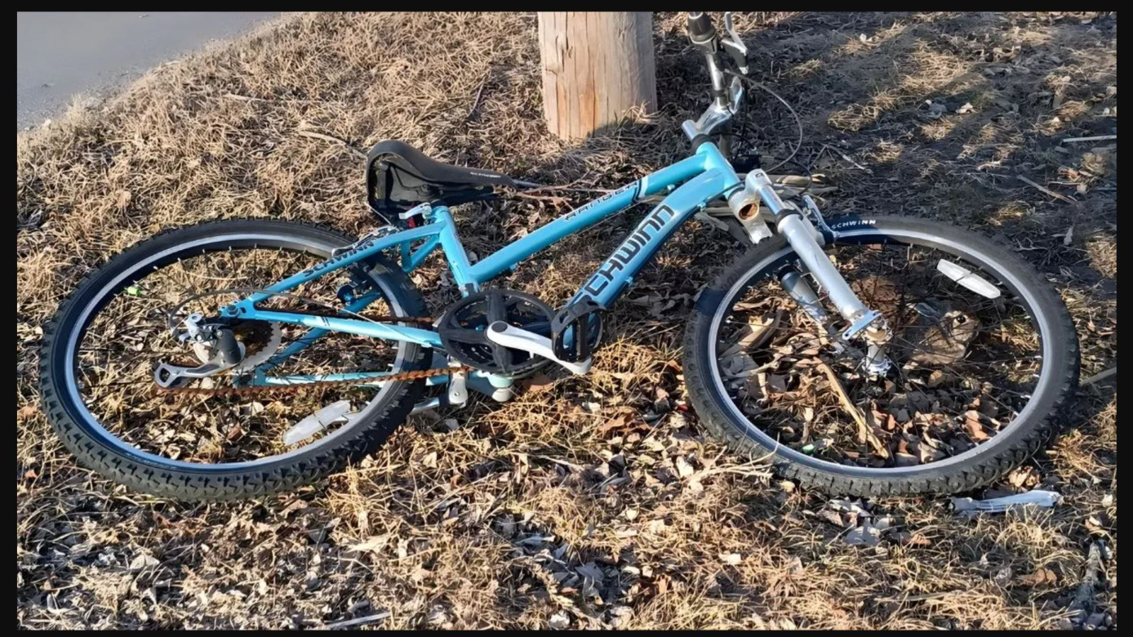 Resimde gizli tavşanı 9 saniyede görmek için 130 IQ gerekiyor