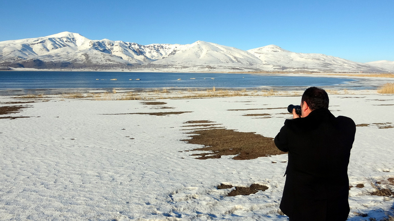 Flamingoların konakladığı Van Gölü'nde korkutan görüntü