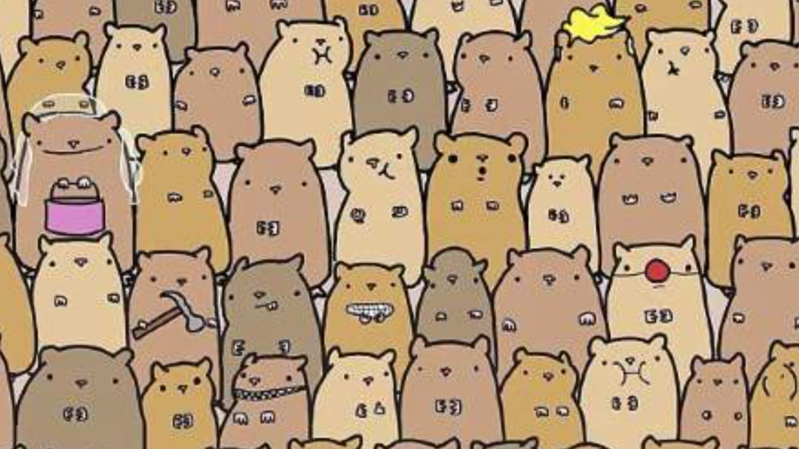 Resimde saklı patatesi görmek için en az 130 IQ gerekiyor