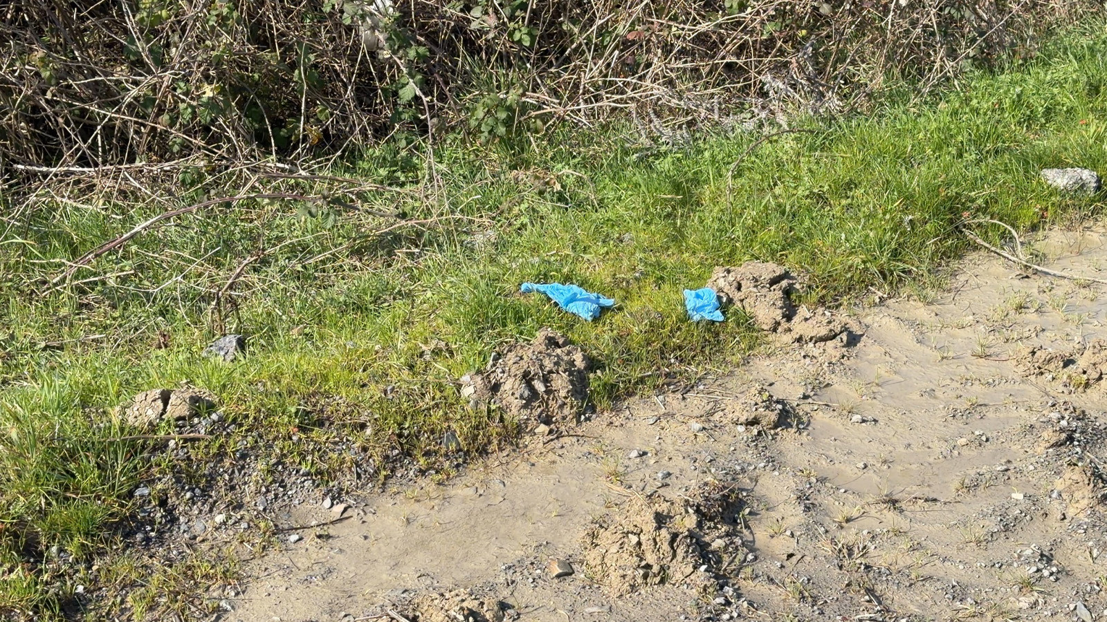İstanbul'da kayıp olarak aranan Çinli iş insanının cesedi toprağa gömülü bulundu