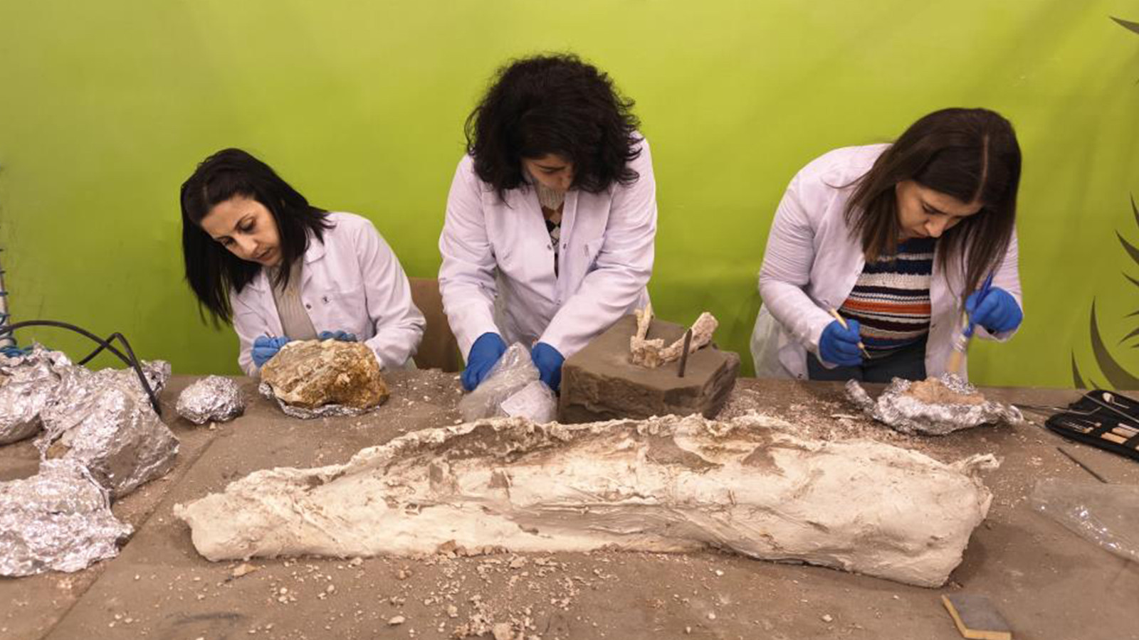 7,7 milyon yıllık heyecanlandıran buluş; öncekilerden daha genç