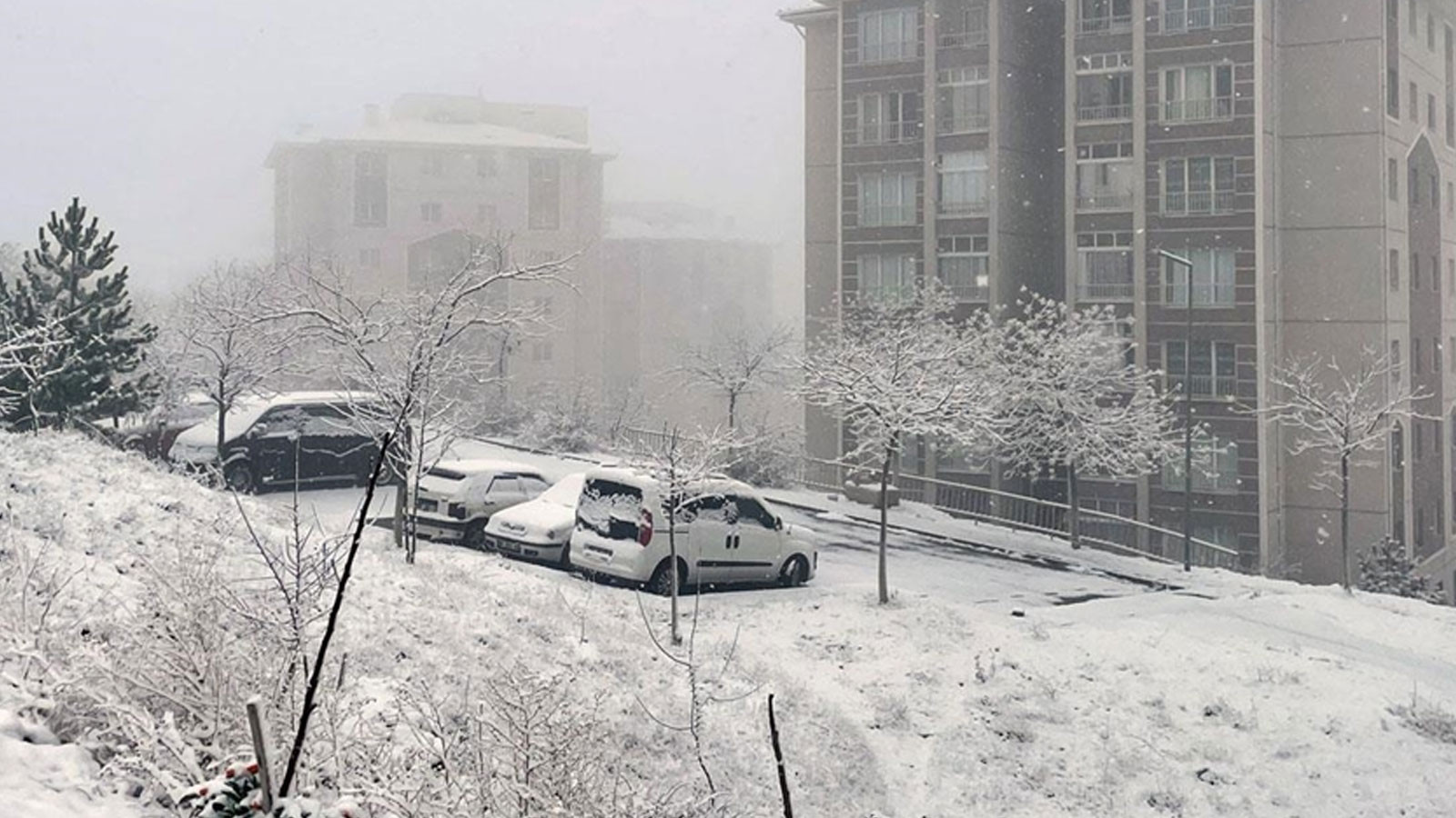Ankara'da lapa lapa kar yağıyor!