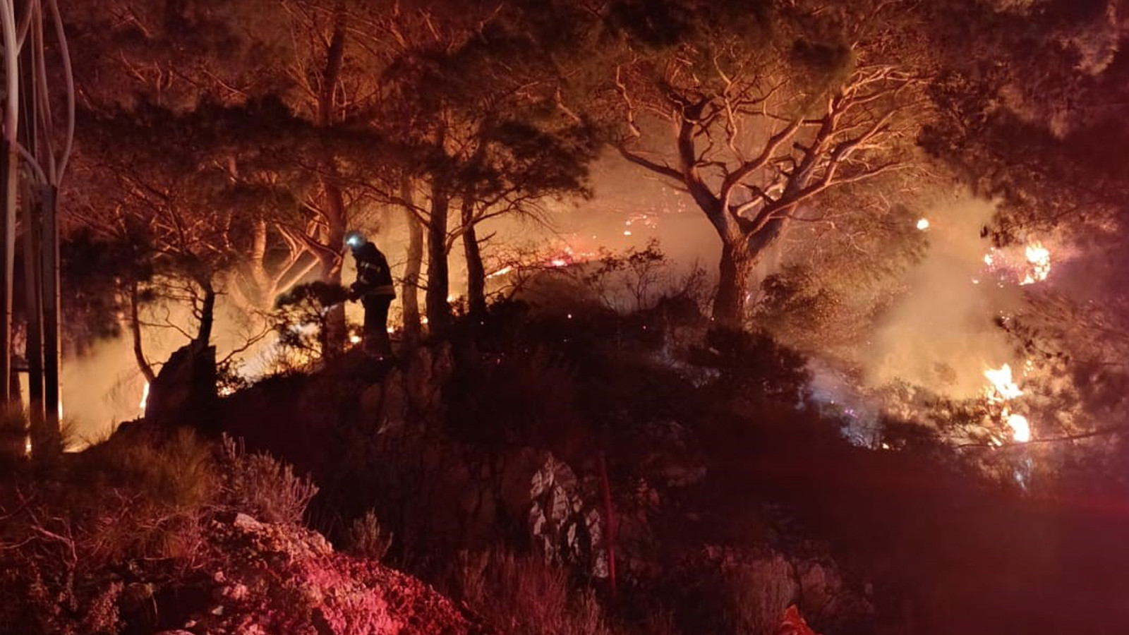 Bodrum'da ormanlık alanda korkutan yangın