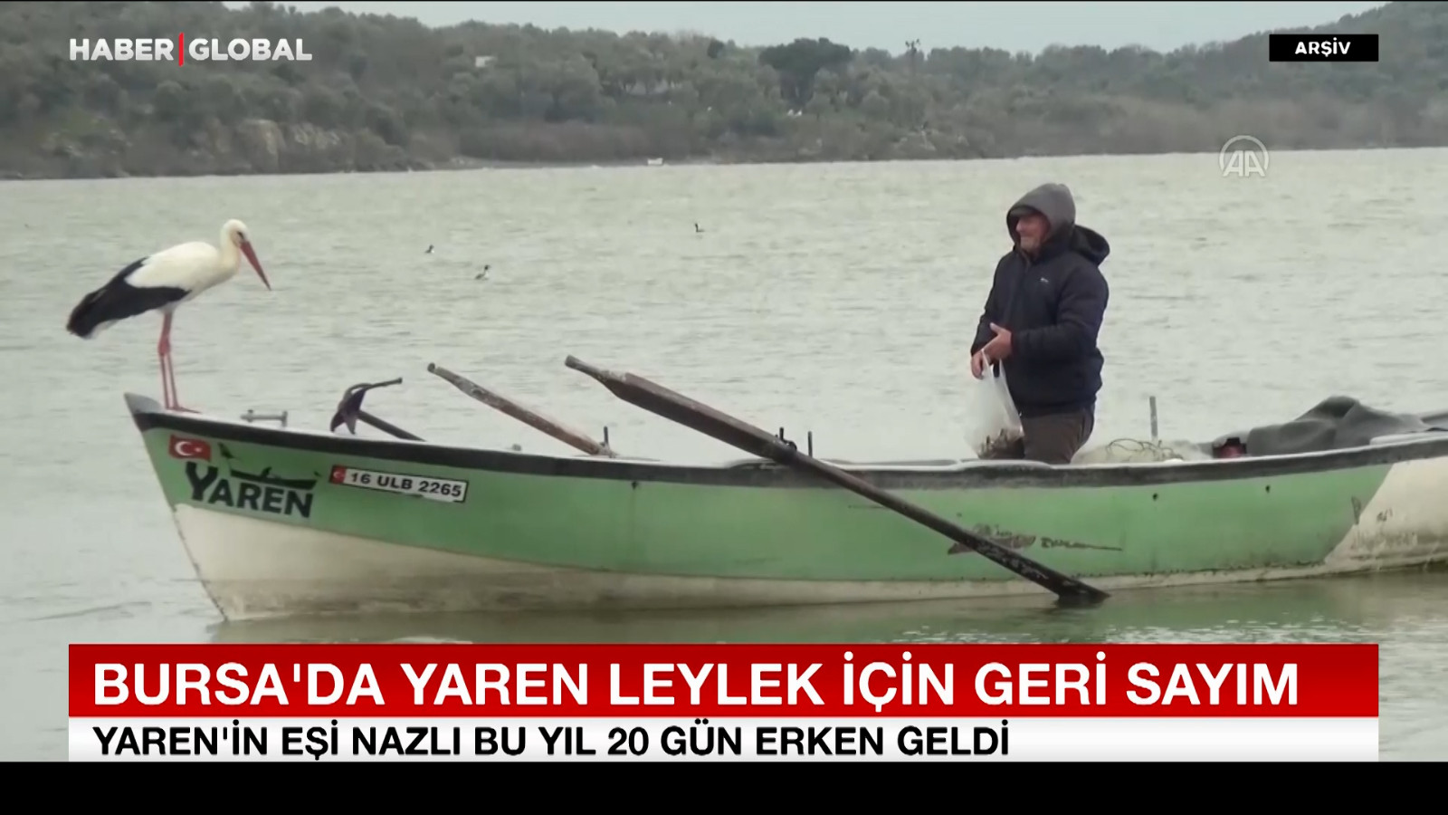 Bursa’da Yaren leylek için geri sayım