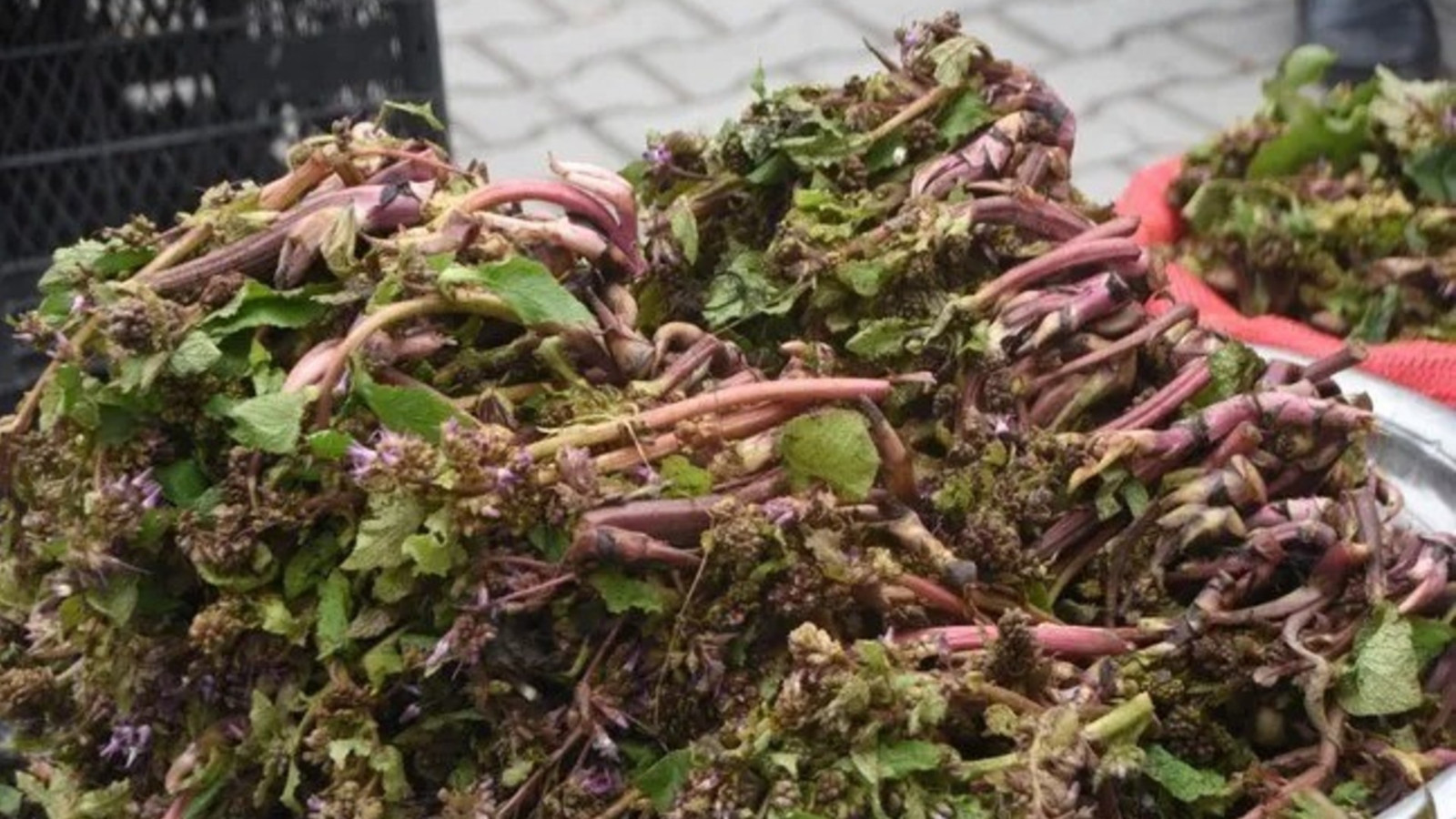 Askerlere cesaret vermesiyle bilinen bitki satışa çıktı