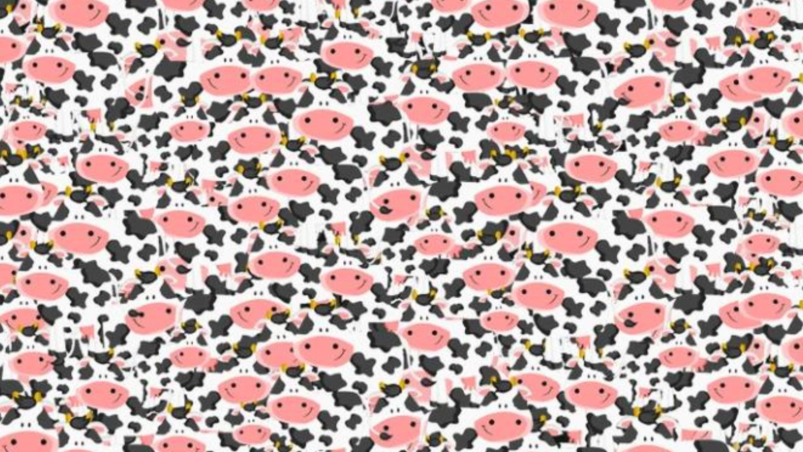 İşte sadece dahilerin 5 saniye dolmadan çözeceği o test!