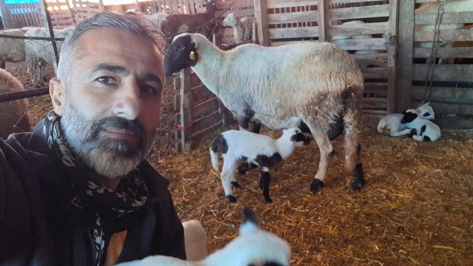 Hobi diye başladılar, bugün 600 koyunluk sürünün sahibi oldular