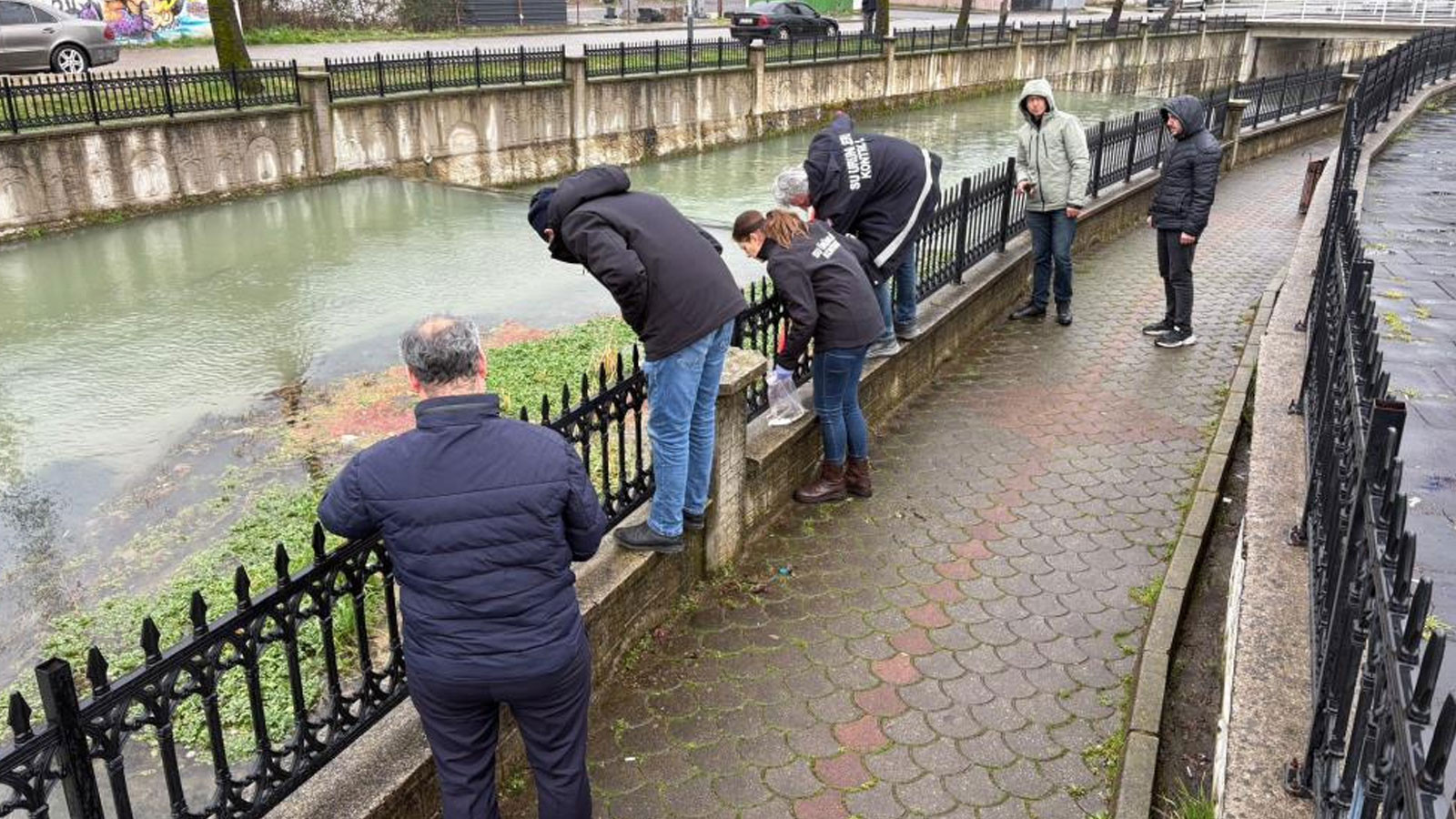 İnceleme başlatıldı! Uludere Çayı'nda binlerce ölü balık bulundu