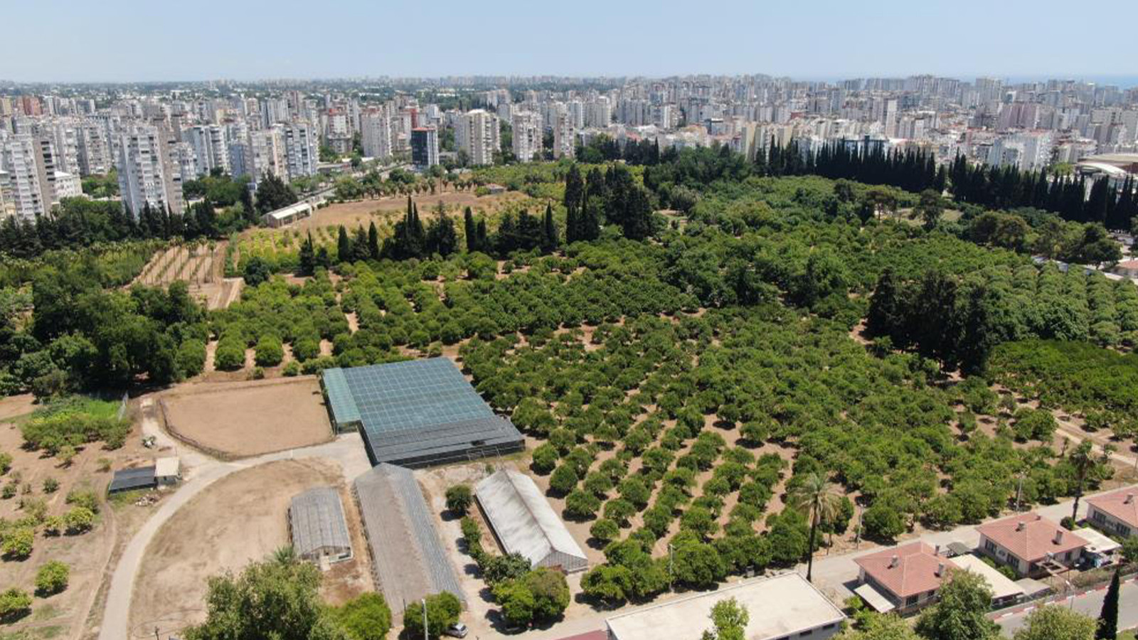 Türkiye son 20 yılda tarım topraklarının yüzde 9,7'sini kaybetti!