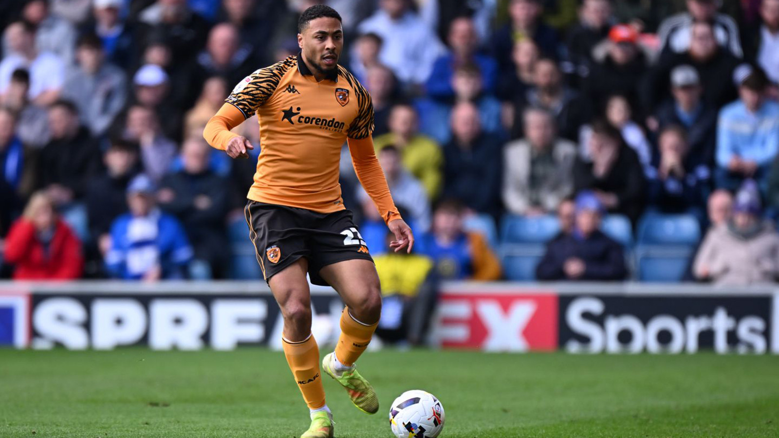 Acun Ilıcalı'nın takımı Hull City'den play-off yolunda önemli galibiyet