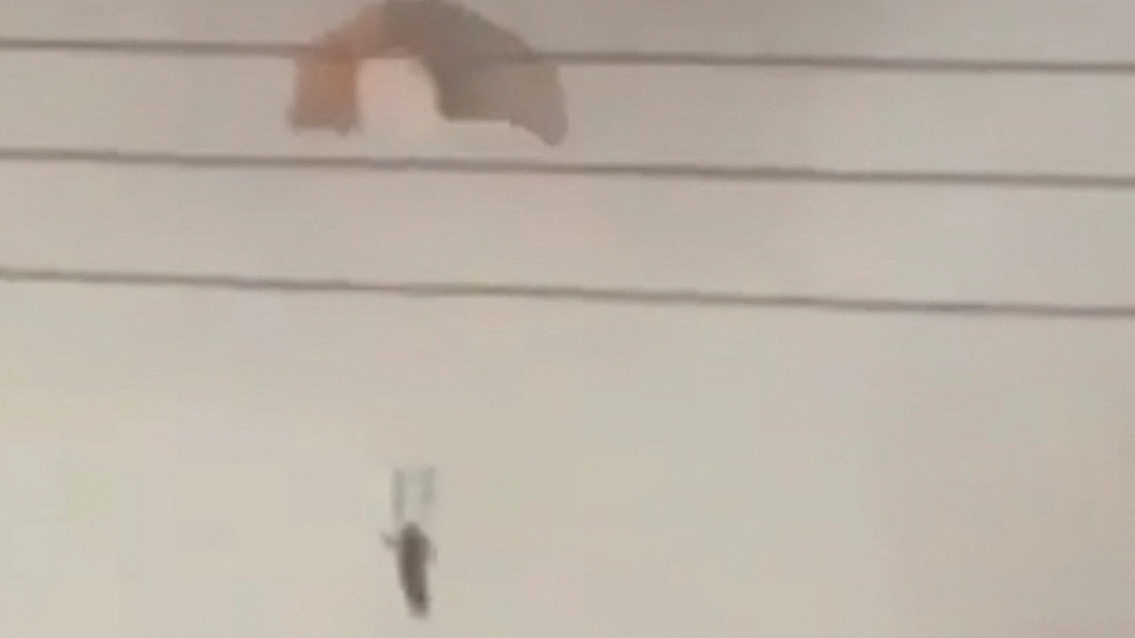 Kuveyt yanlışlıkla 3 Amerikan savaş uçağını düşürdü