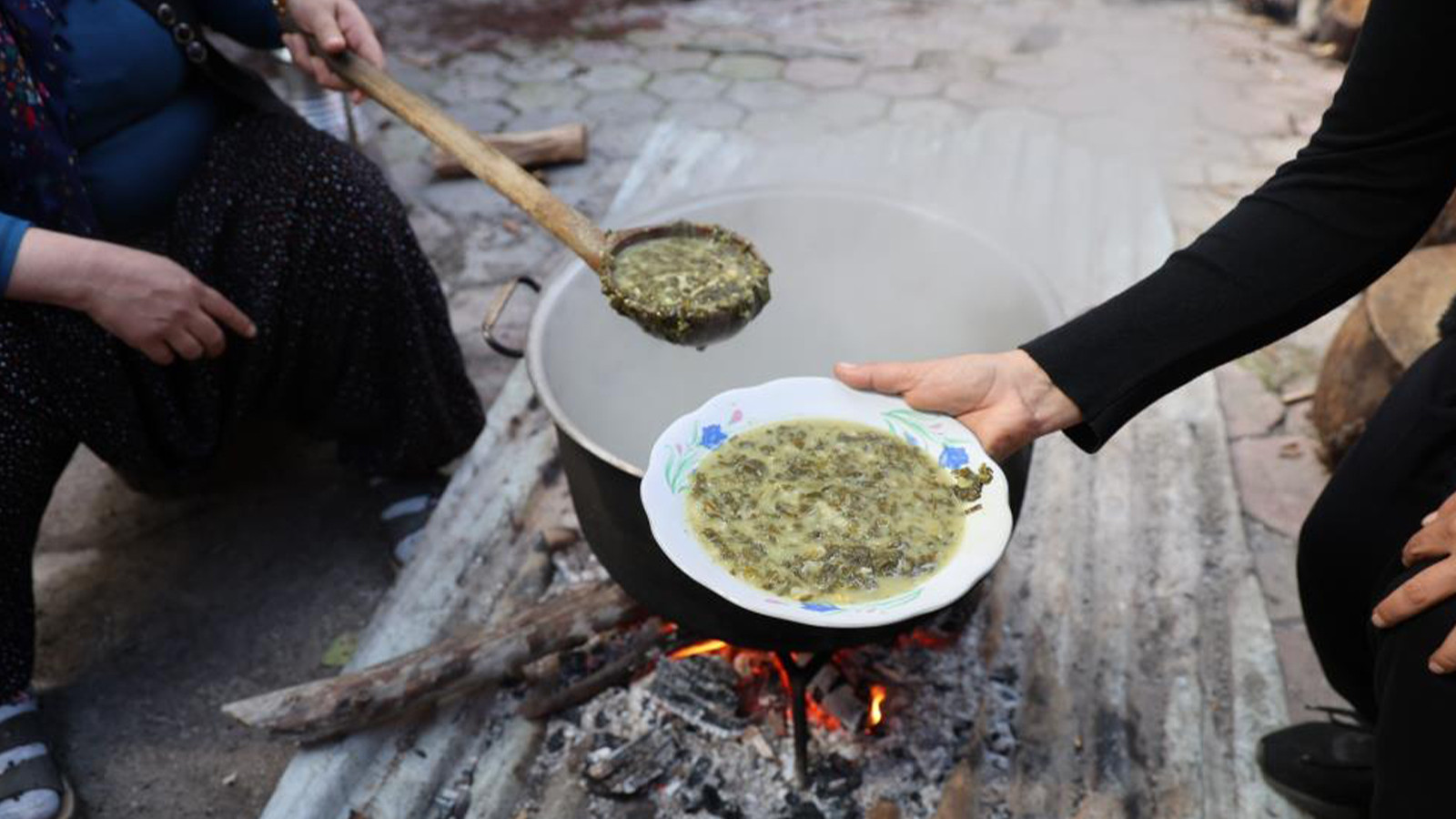 Doğada zehirli, kazana girince şifaya dönüşüyor: Yılda sadece iki ay toplanabiliyor