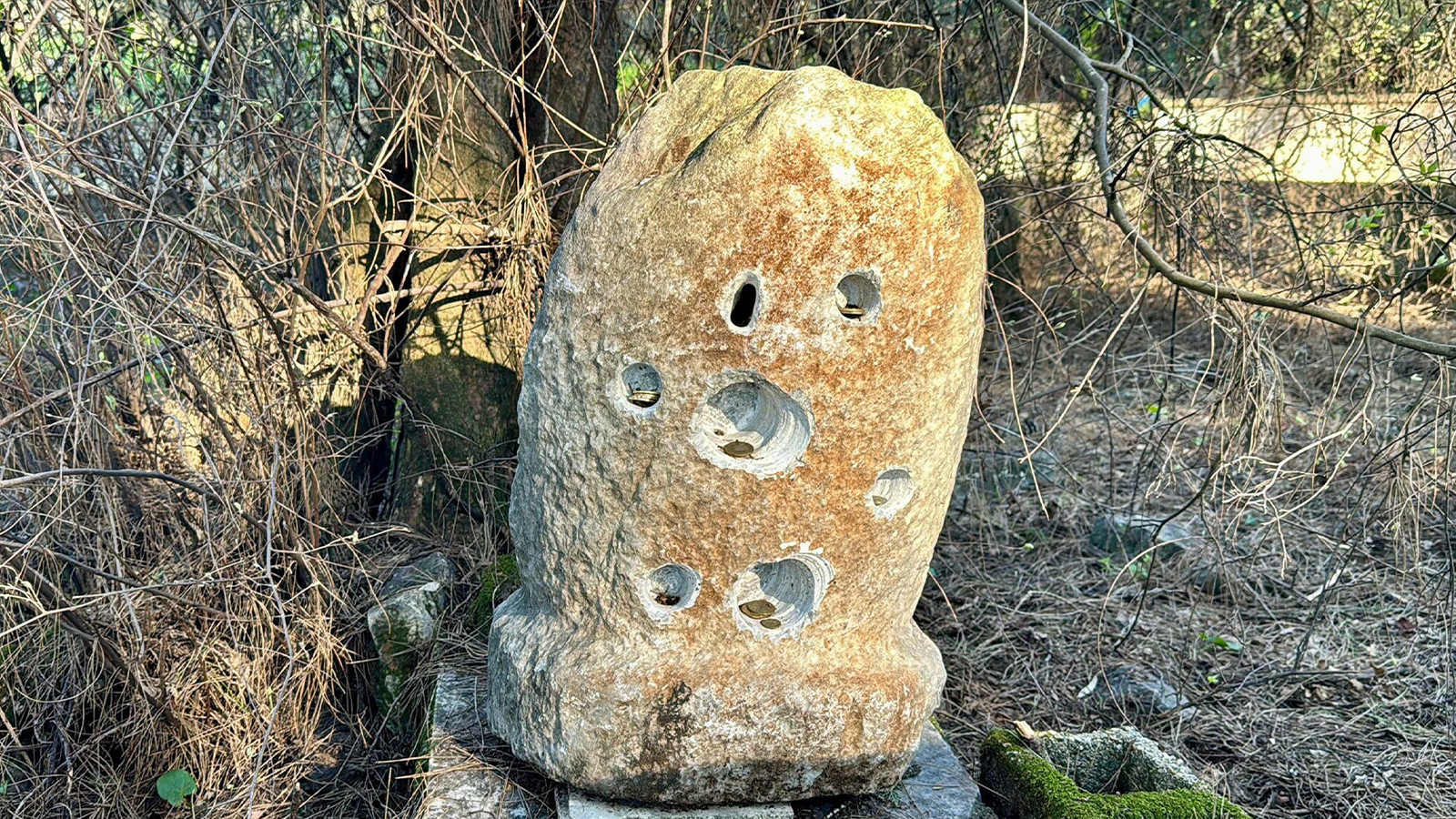 İki asırdır aynı yerdeydi; bir anda ortadan kayboldu
