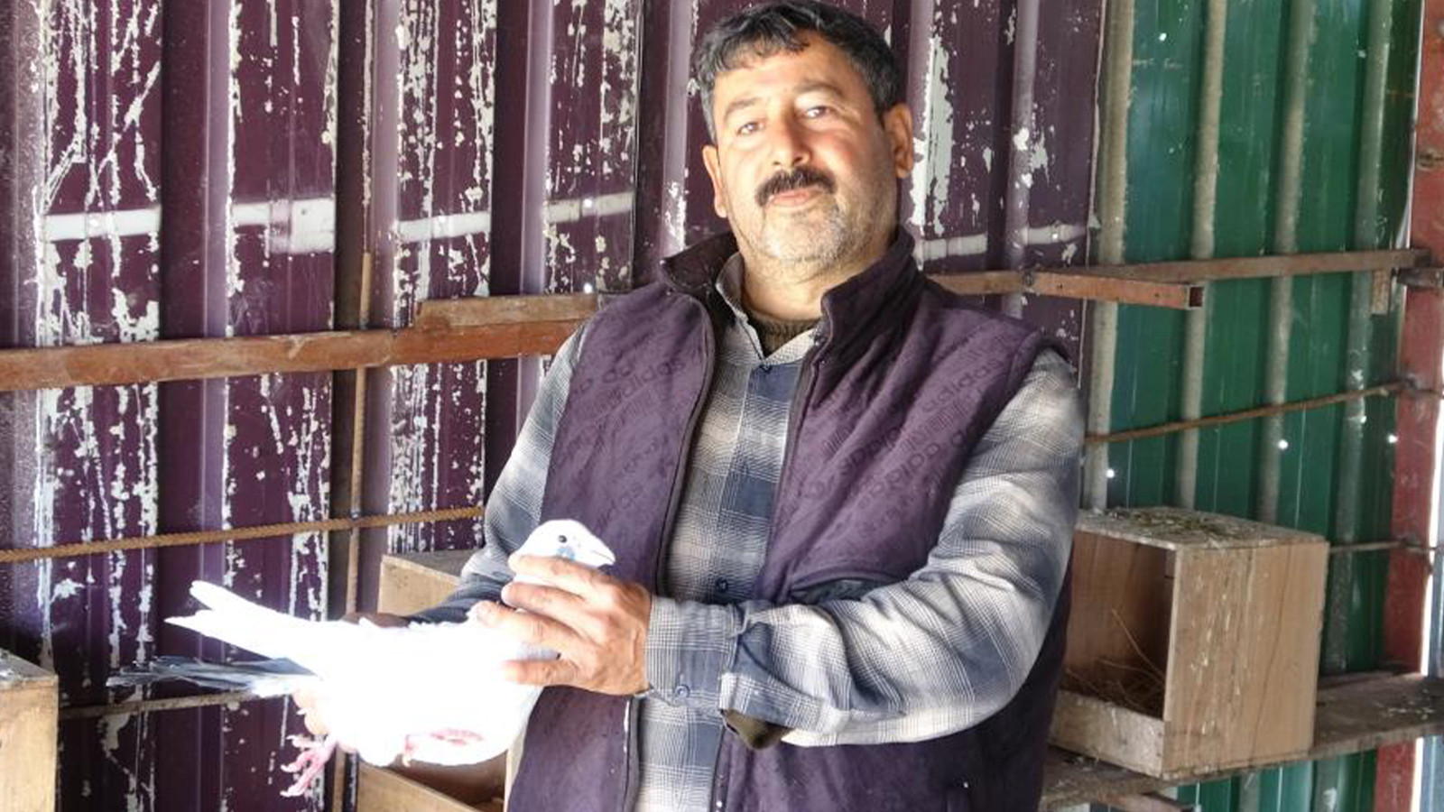 7 yaşındayken kuzeninin verdiği güvercinle başladı; maliyeti 200 bin TL arasında