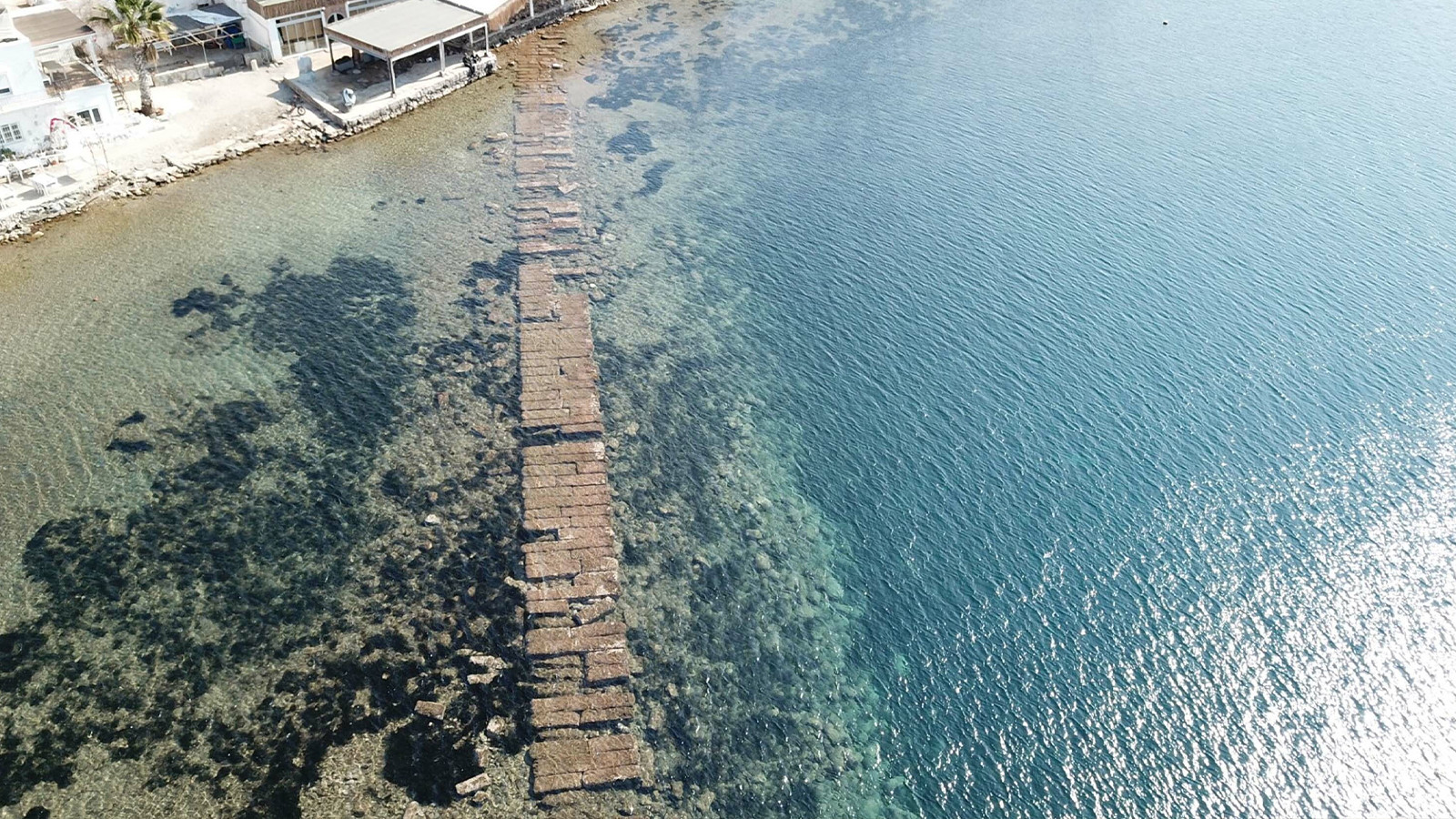 Yılın bu zamanlarında denizde ortaya çıkıyor; vatandaşlar görmek için akın etti