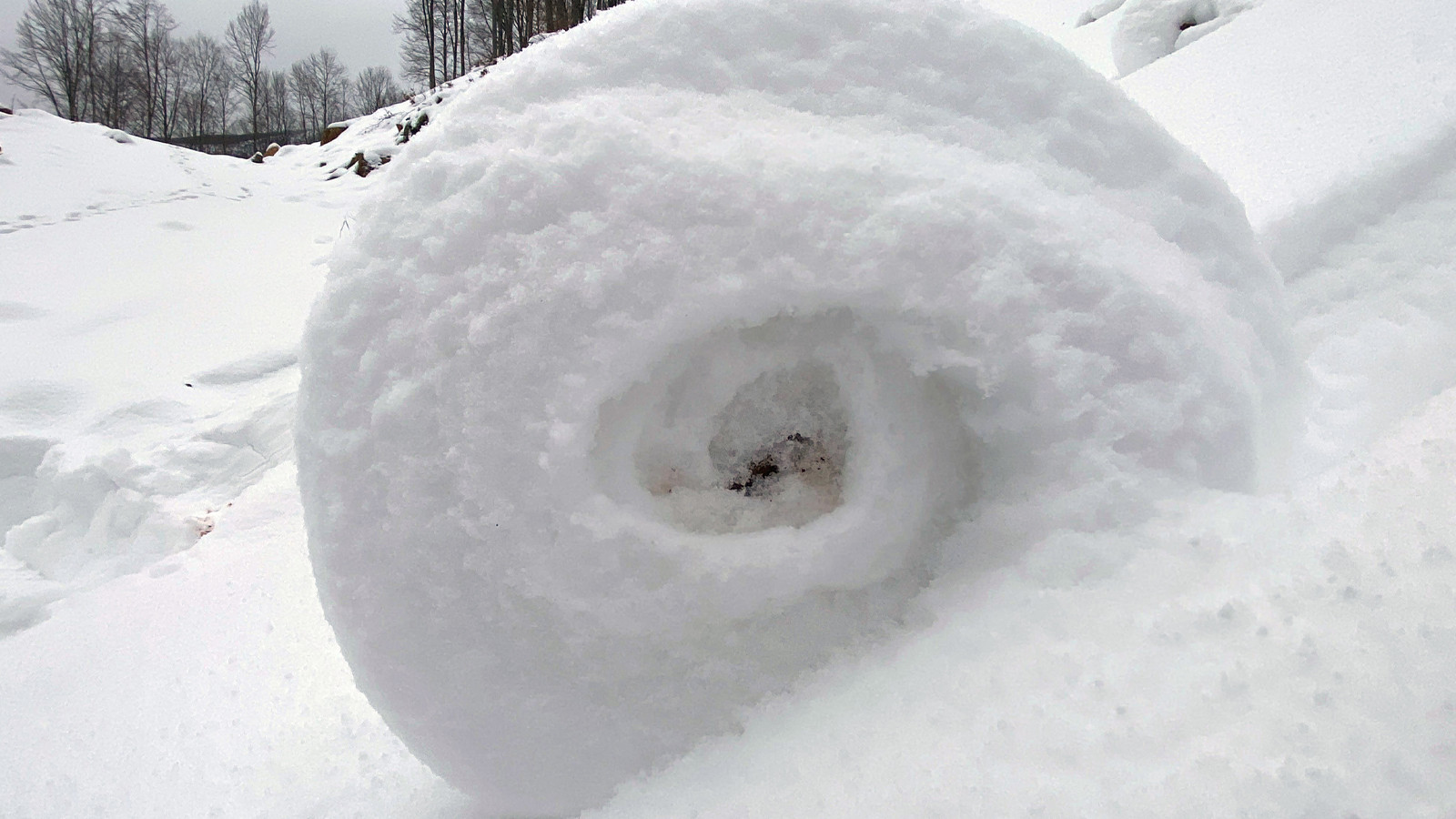 Ender rastlanıyor... Türkiye'de görüntülendi