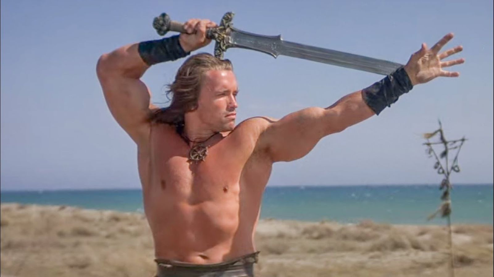 Arnold Schwarzenegger 'Conan the Barbarian' ile sinemaya dönüyor