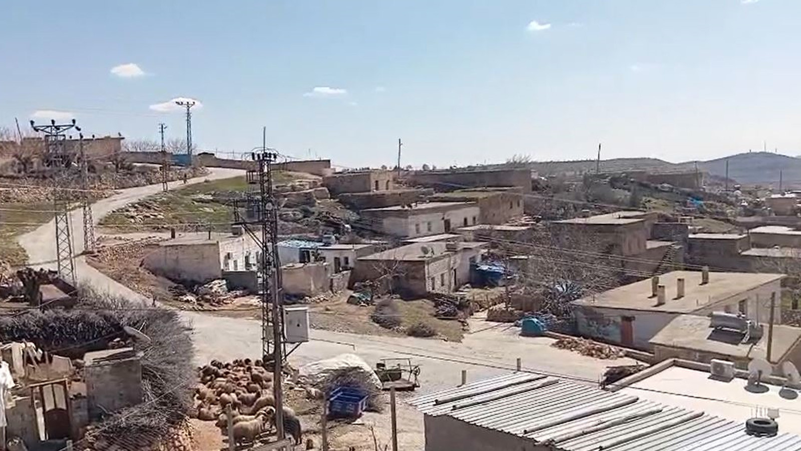 Mardin'de kuduz alarmı: Mahalle karantinaya alındı