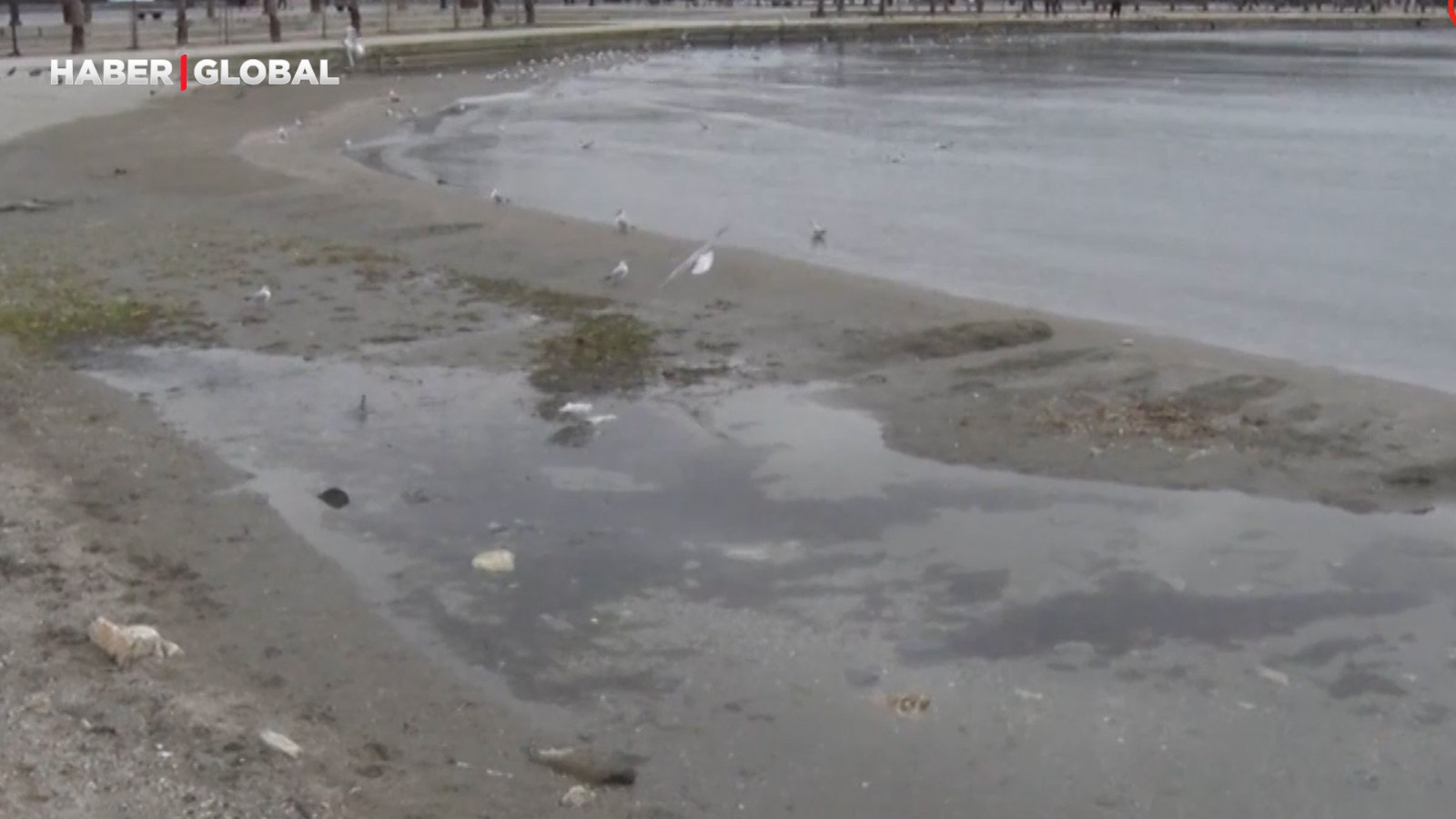 İstanbul'da korkunç görüntü! Deniz 3 metre çekildi