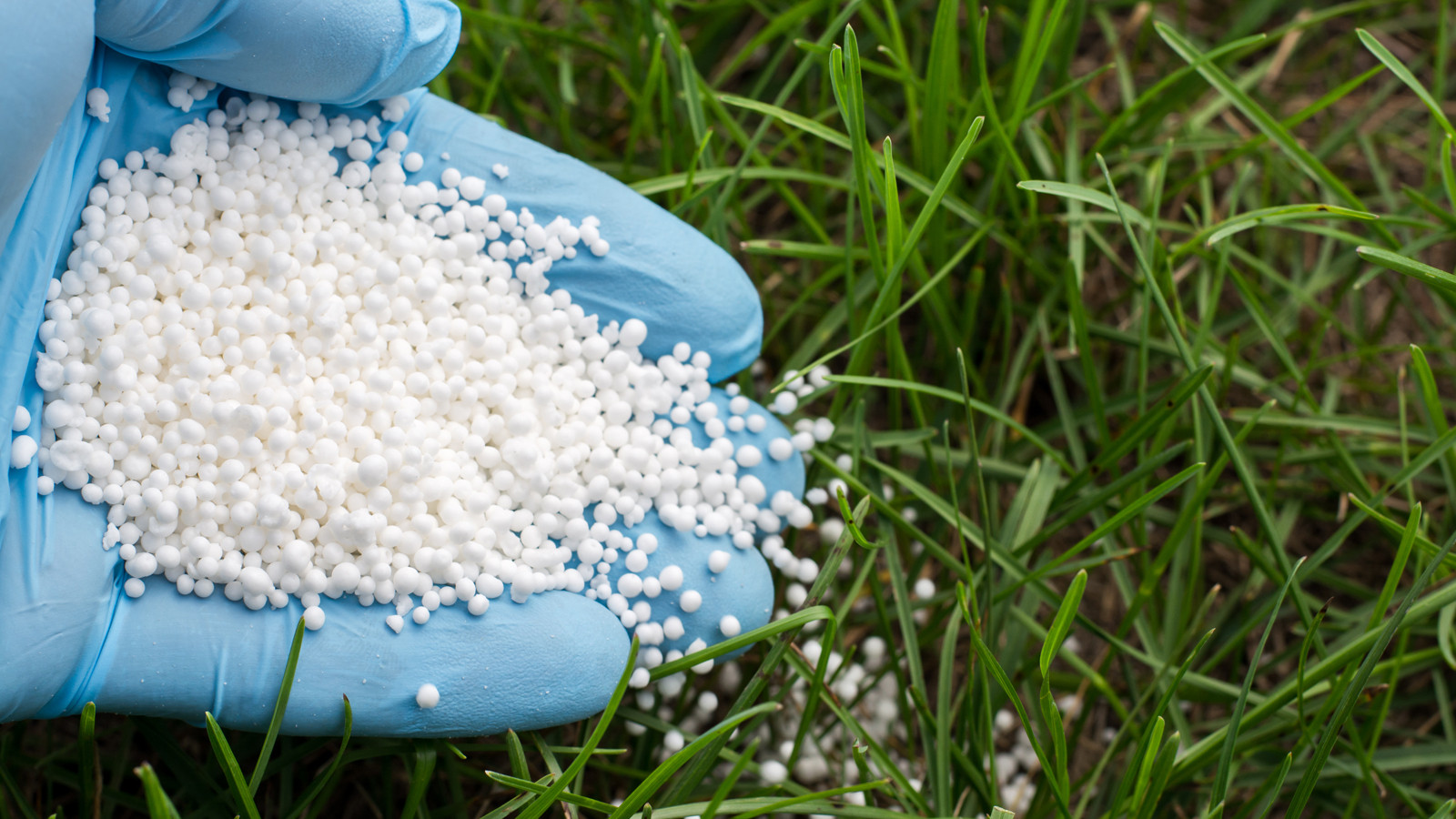 10 yıl sonra yasak bitti: İran savaşı sonrası Türkiye’de serbest oldu!