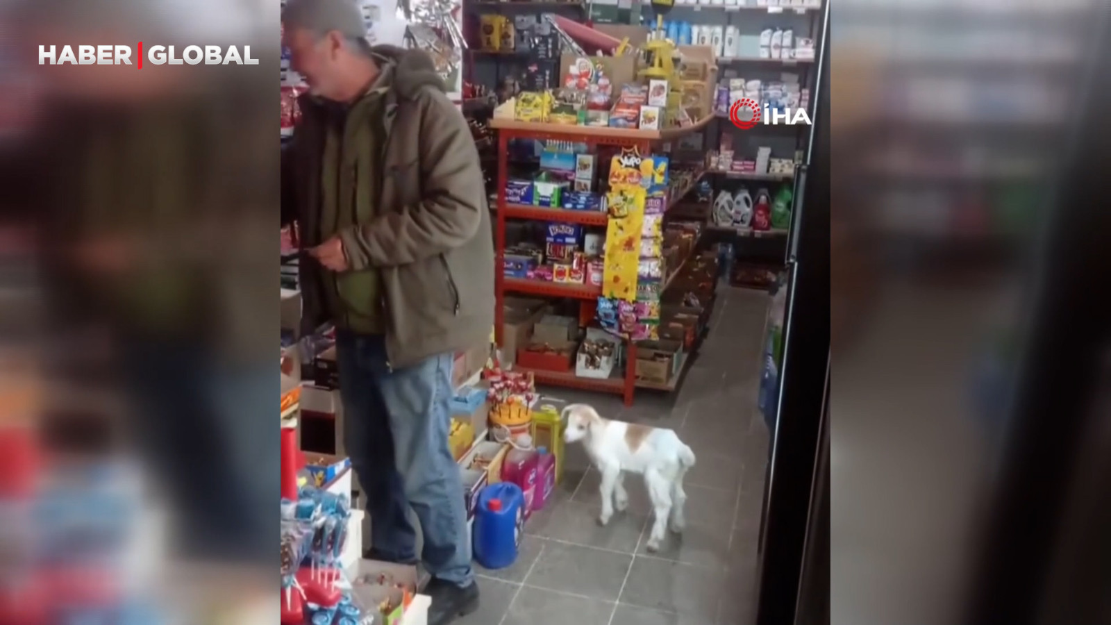 Edirne'de keçisi ile birlikte alışverişe gitti