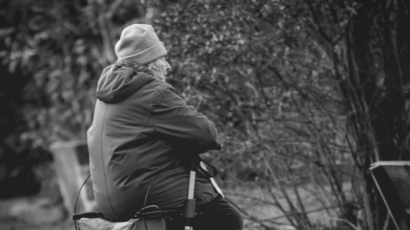 Hafıza kaybı bağırsaktan başlıyor!