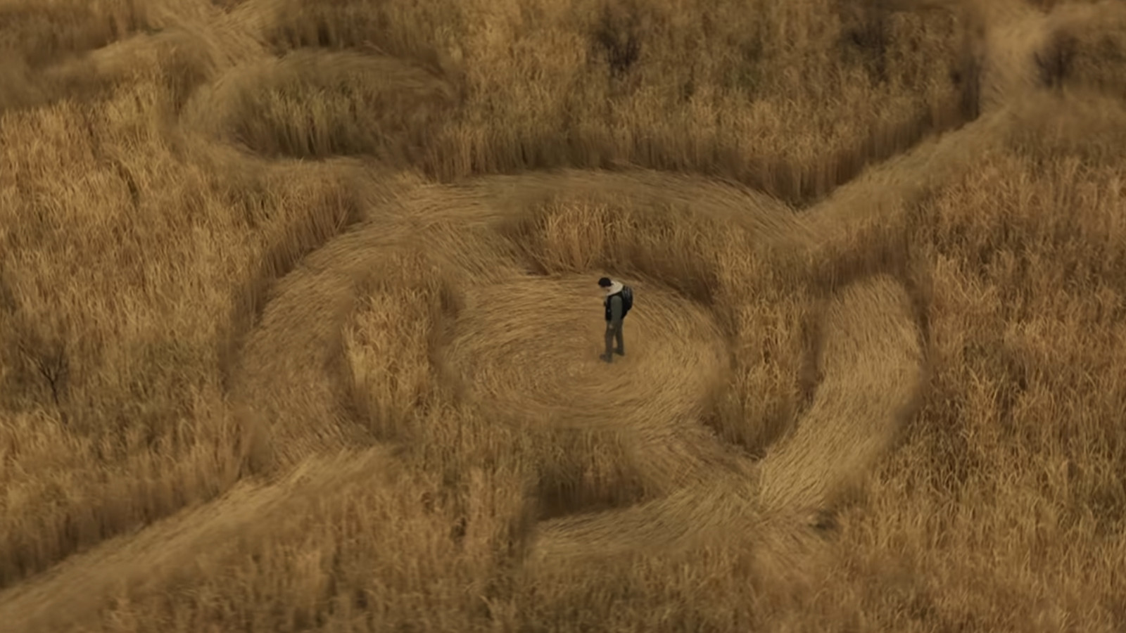 Steven Spielberg'den UFO filmi! Yıldızlarla dolu Disclosure Day filminden yeni fragman yayınlandı