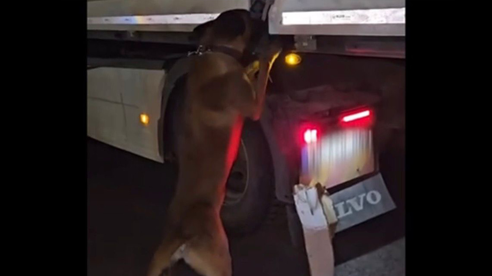 Diyarbakır'da durdurulan tırda 81 kilo metamfetamin yakalandı