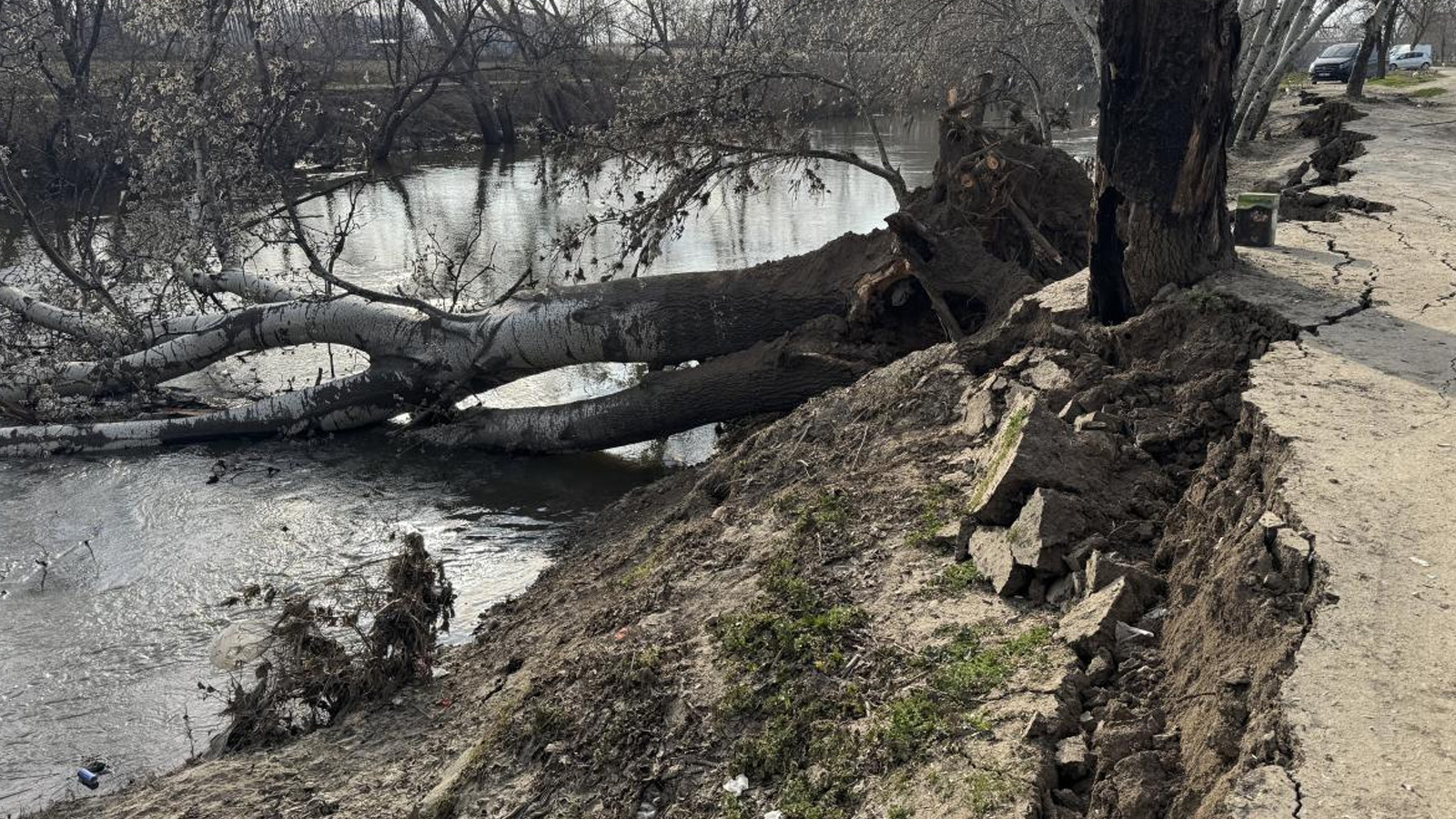 Edirne'de Tunca Nehri kıyısında toprak kayması