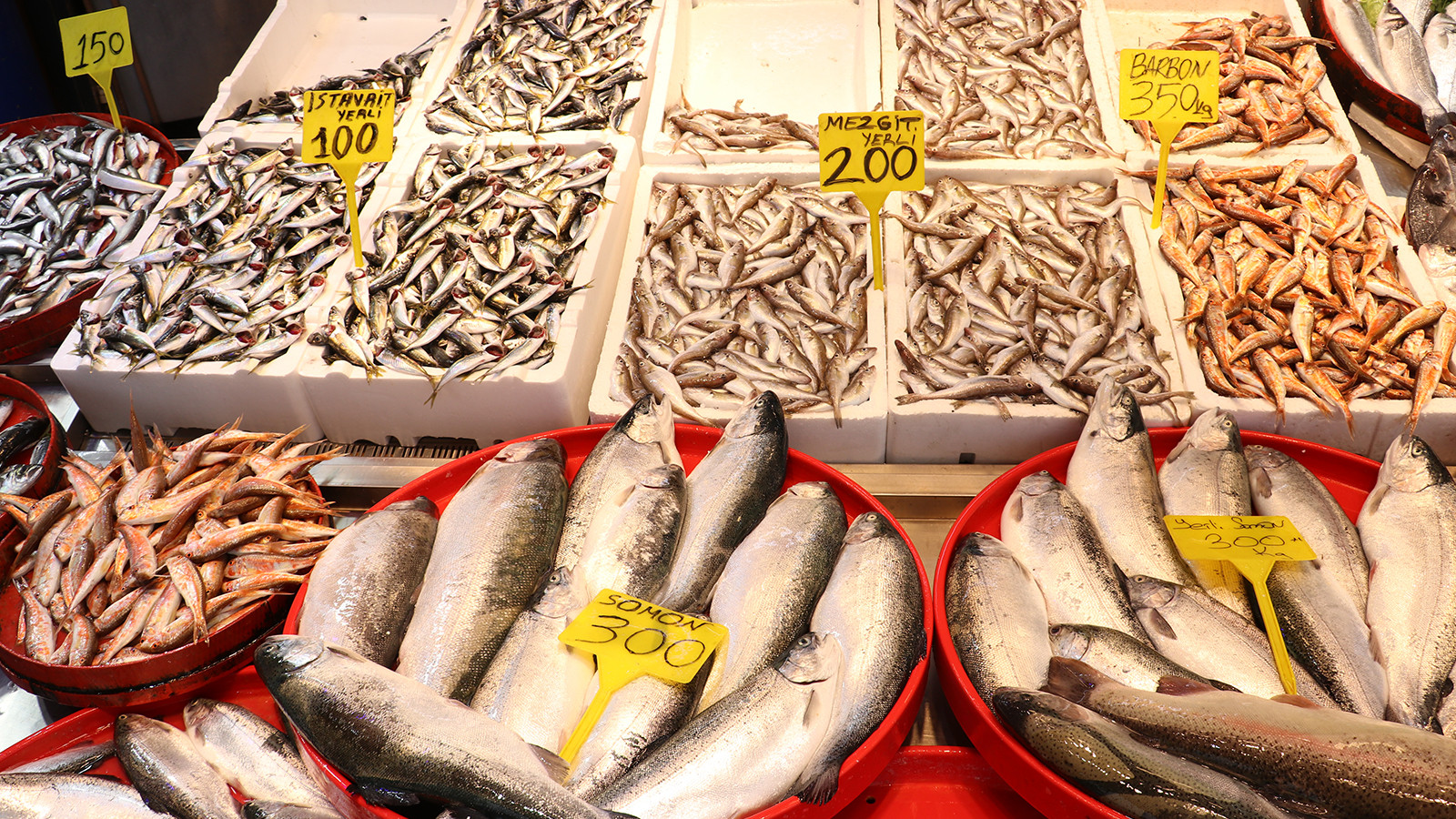 Trabzon'da balığa yoğun ilgi