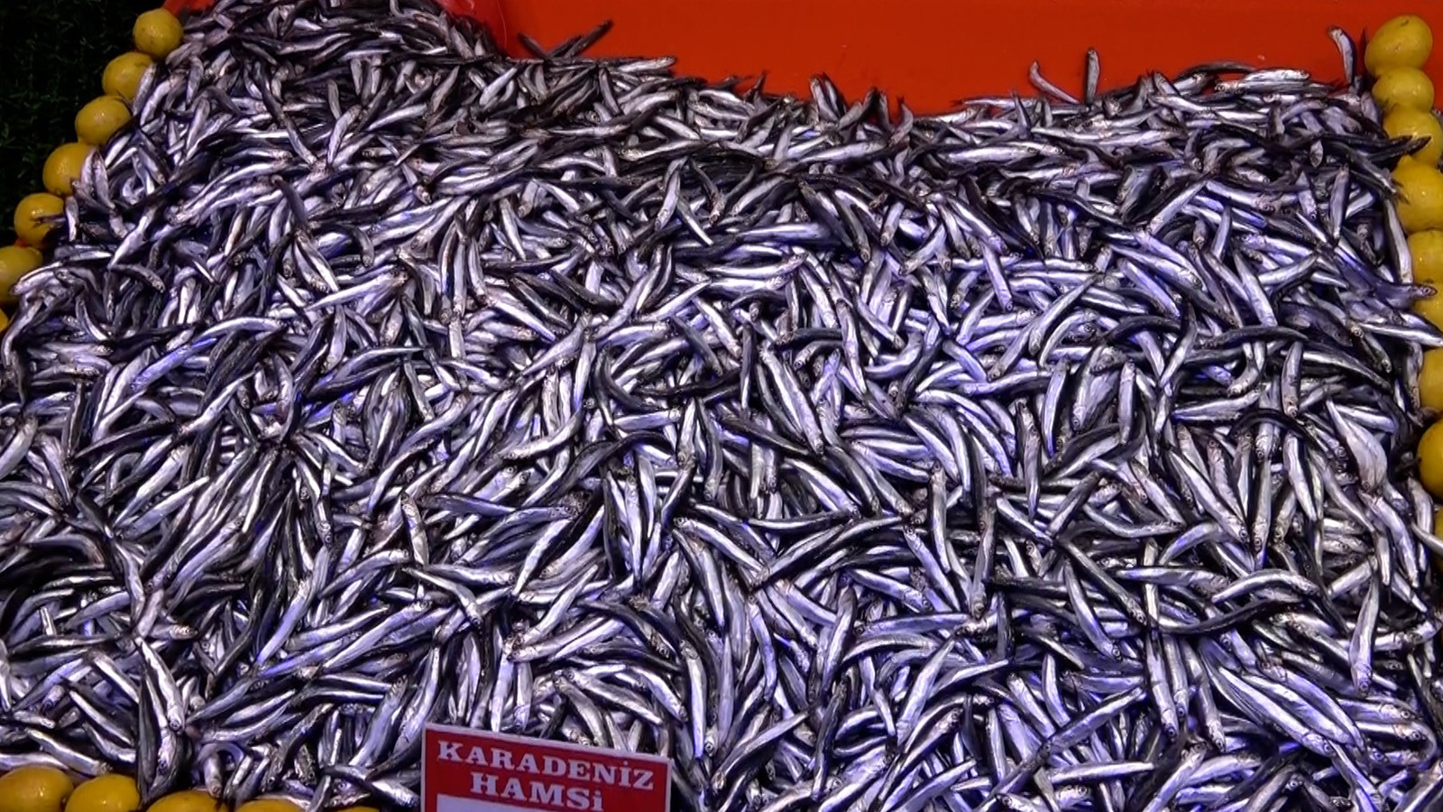 Ramazan'da ilgi azaldı balık fiyatları düştü