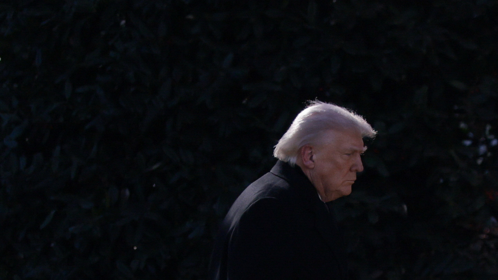 Reuters: Trump, Harg Adası'na askeri çıkarma yapmayı düşünüyor