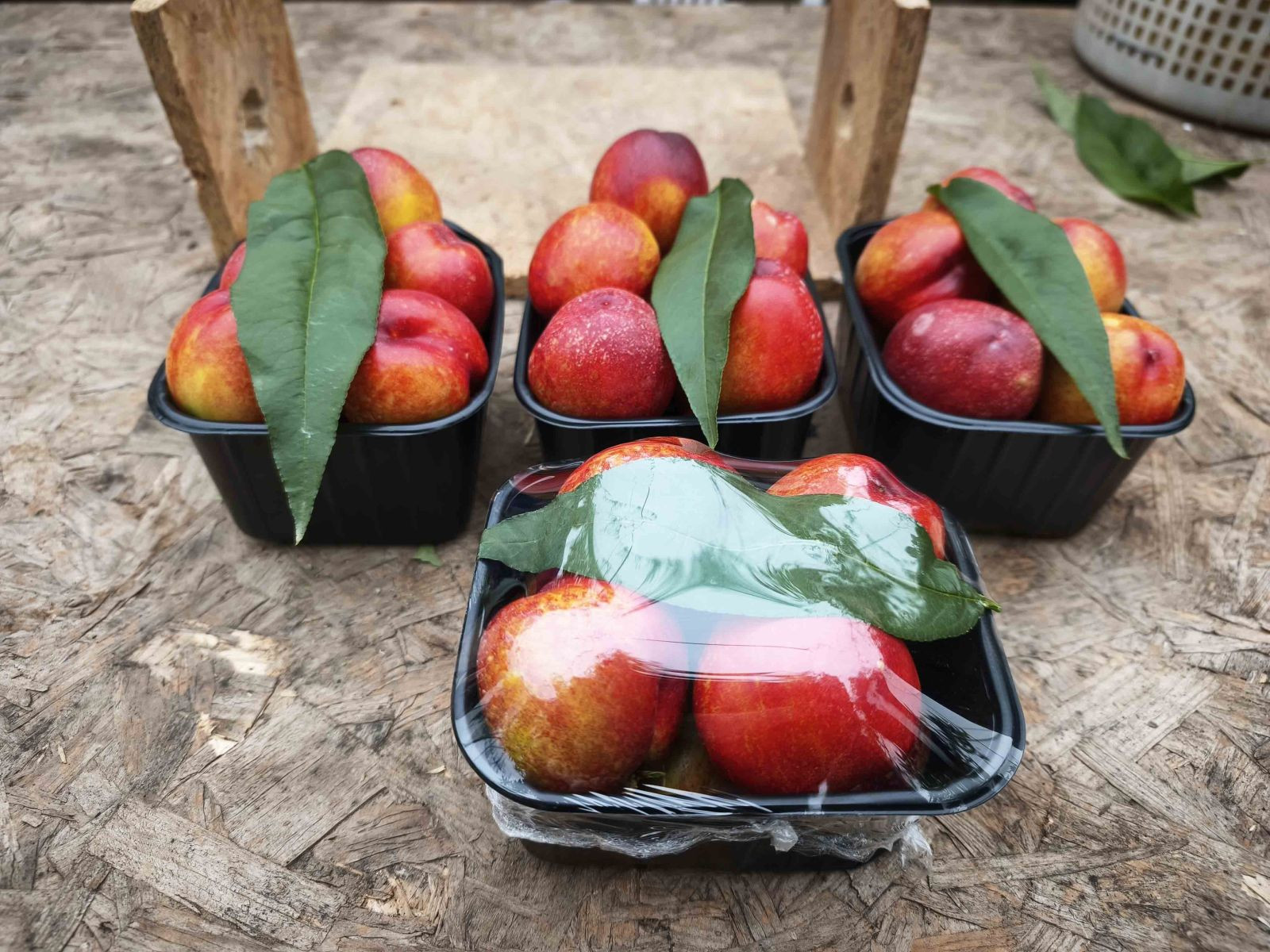 Alternatif ürün olarak üretildi; kilosu 500 TL'den satılıyor - Resim: 4