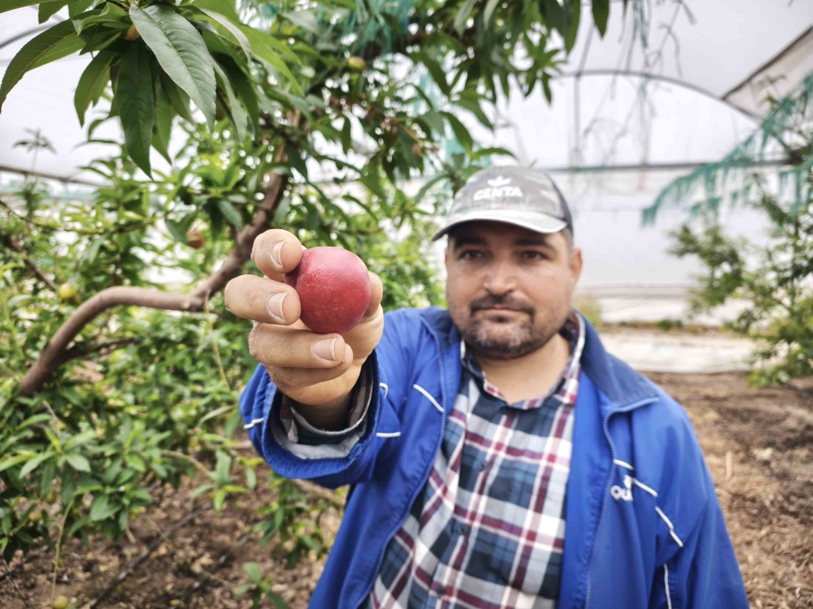 Alternatif ürün olarak üretildi; kilosu 500 TL'den satılıyor - Resim: 6