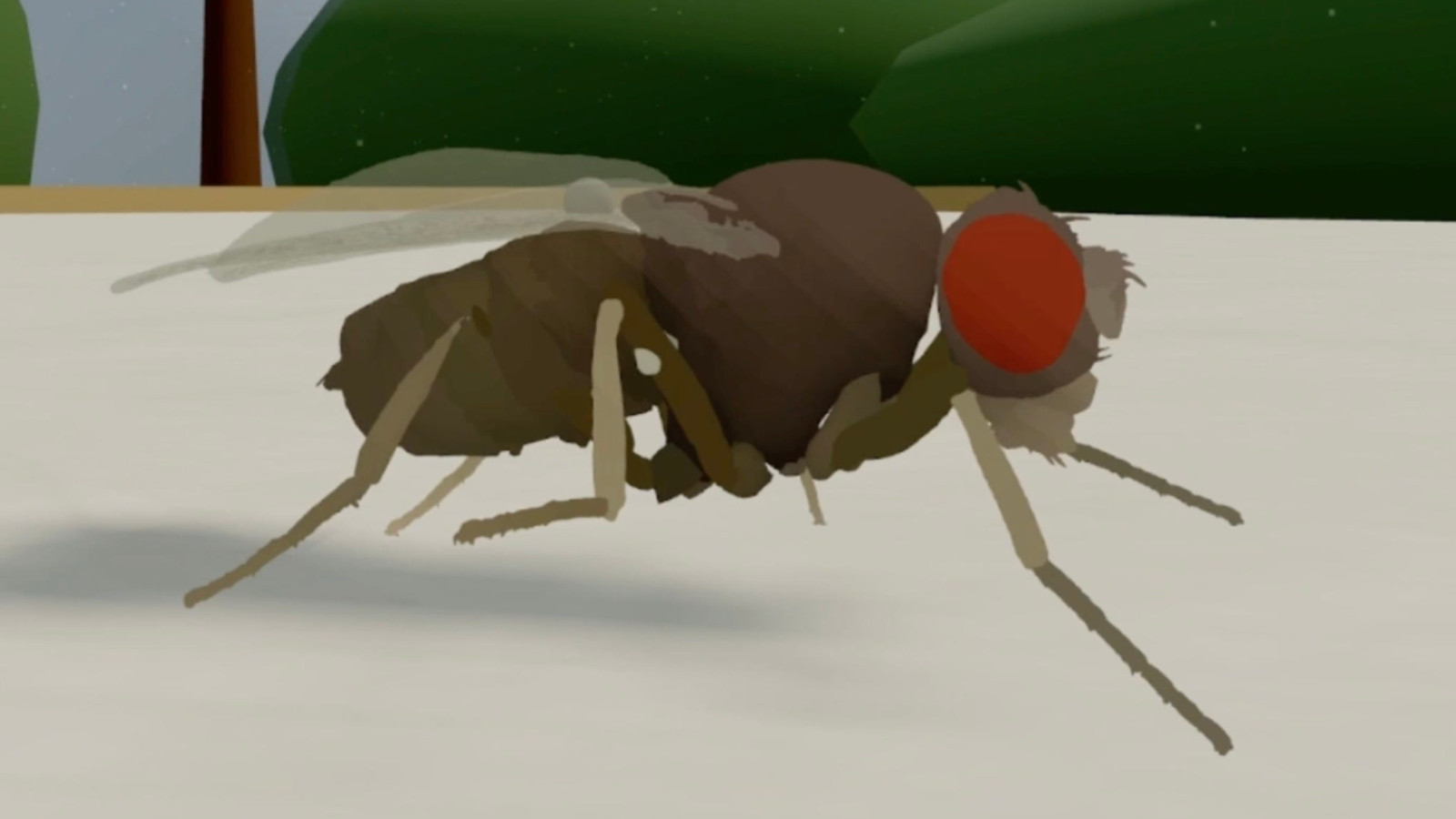 Gerçek bir beynin birebir kopyası bilgisayarda çalıştırıldı; tartışmalar başladı