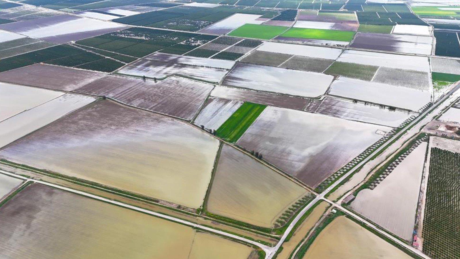 3 günlük yağış Çukurova'yı vurdu; tarım arazileri sular altında