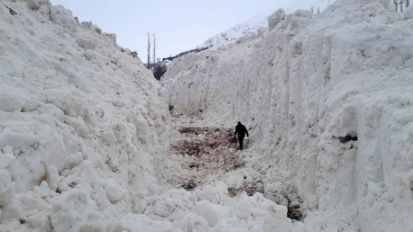 Çığ meyve bahçelerini yuttu! Tonlarca kar kütlesi yolu kesti