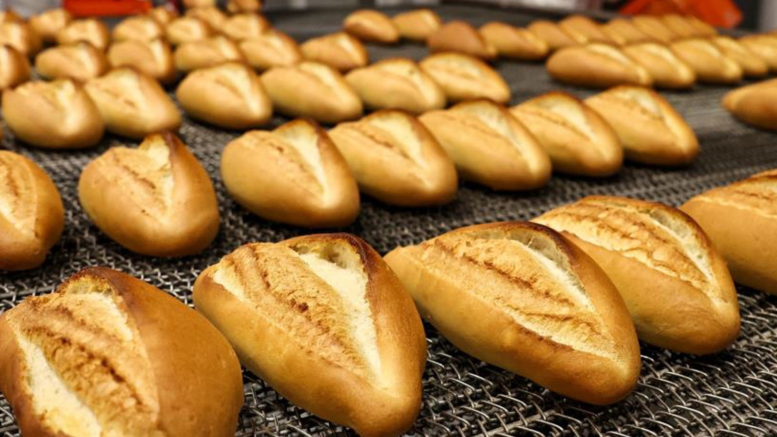 Bursa'da ekmeğe zam!